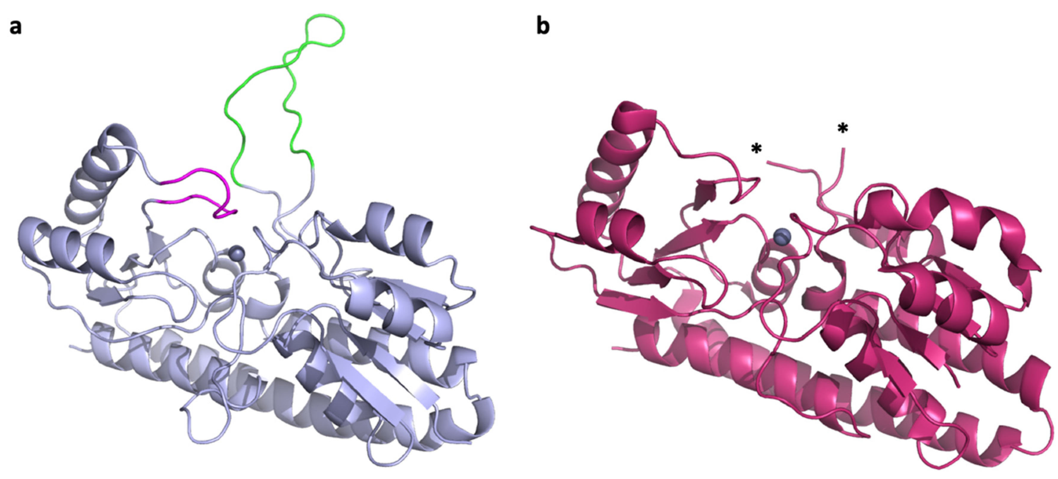 Ijms 21 09098 g001 Ijms 21 09098 g001