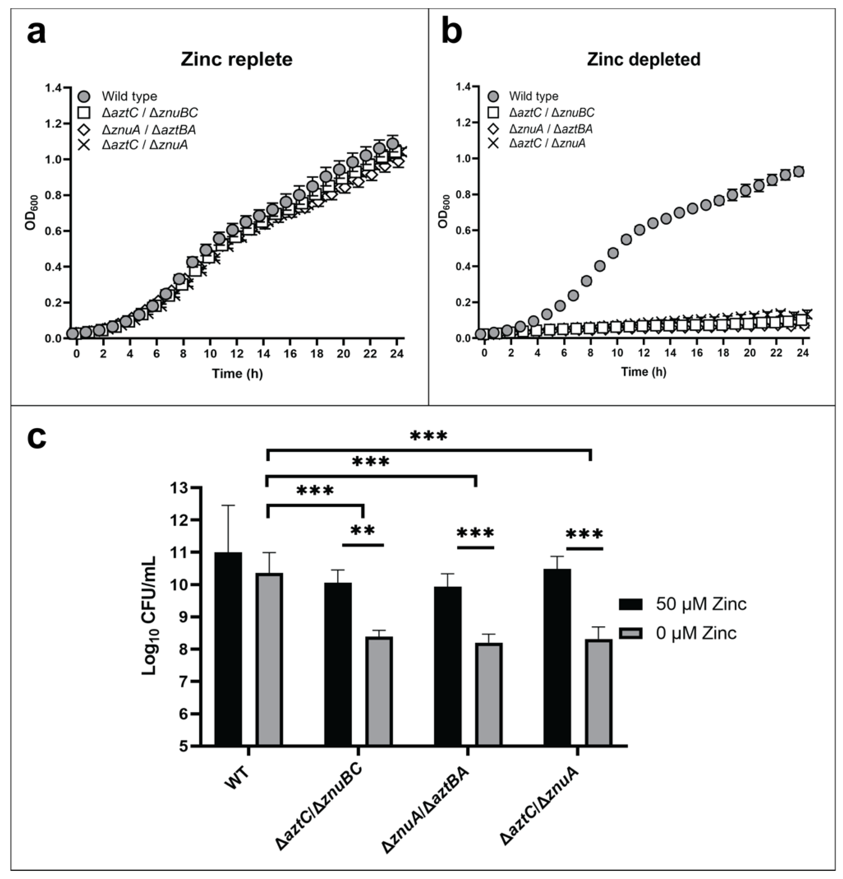 Ijms 21 09098 g002 Ijms 21 09098 g002