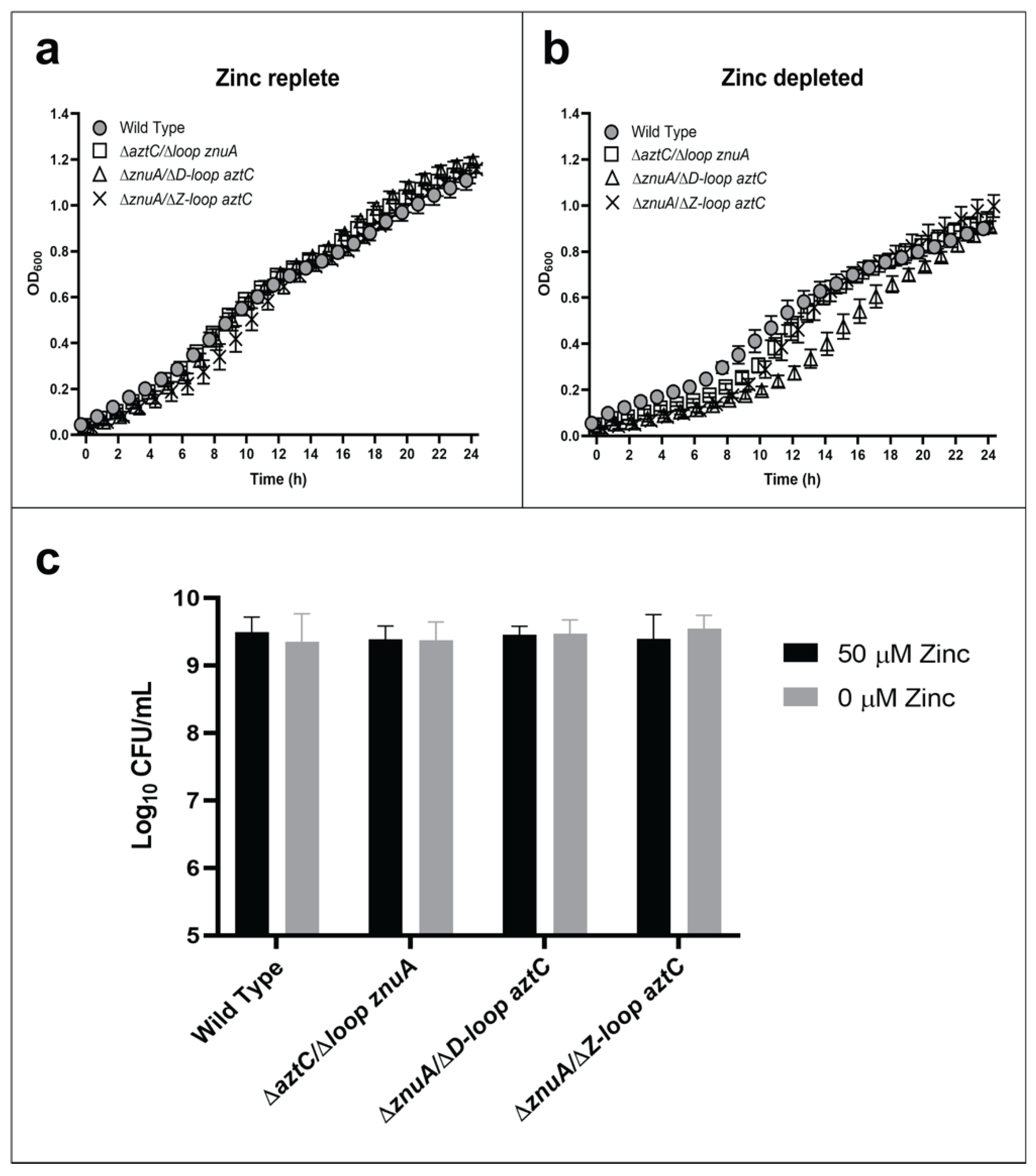 Ijms 21 09098 g003 Ijms 21 09098 g003