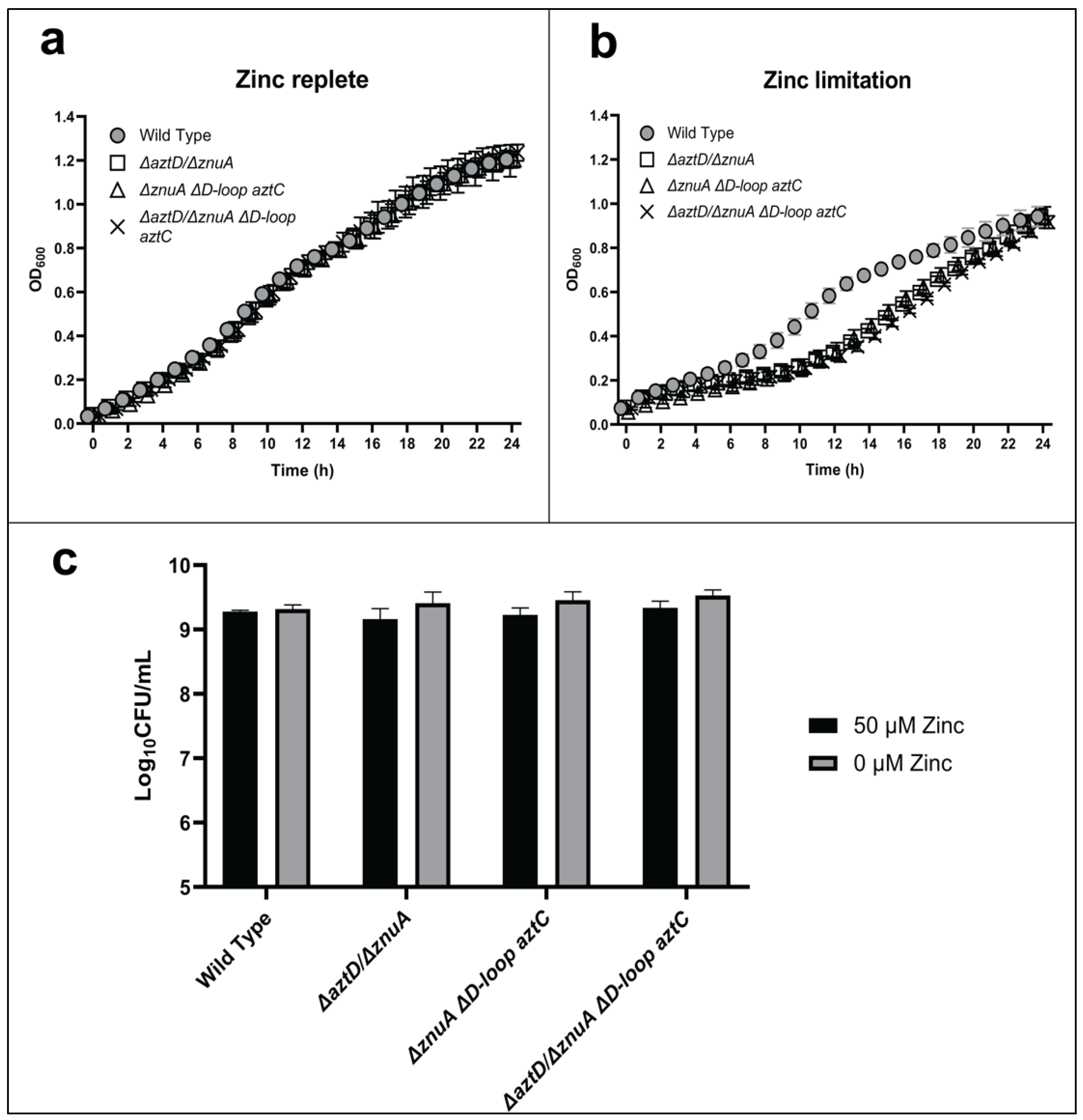 Ijms 21 09098 g004 Ijms 21 09098 g004