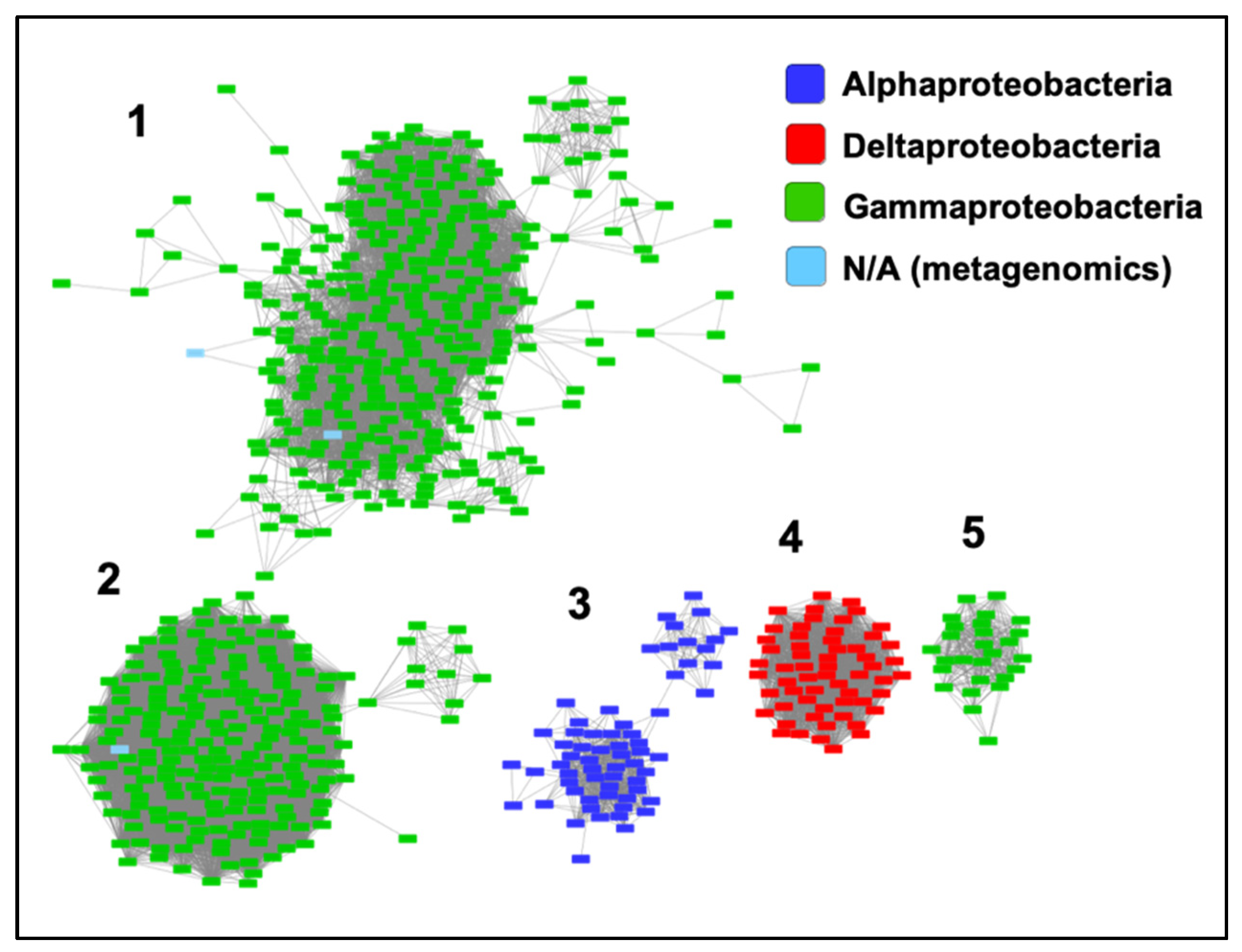 Ijms 21 09098 g005 Ijms 21 09098 g005