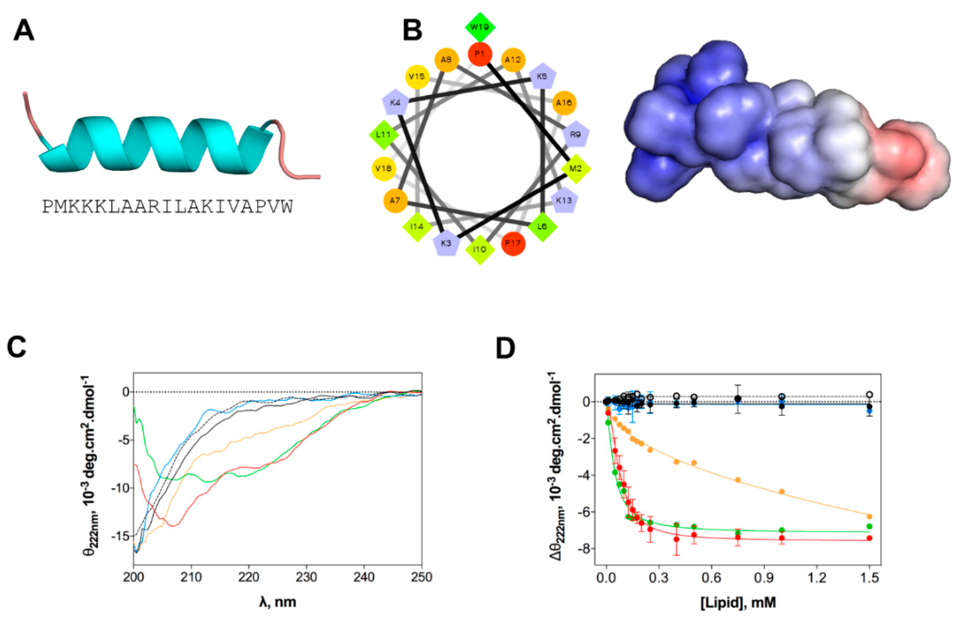 Ijms 21 09104 g002 Ijms 21 09104 g002