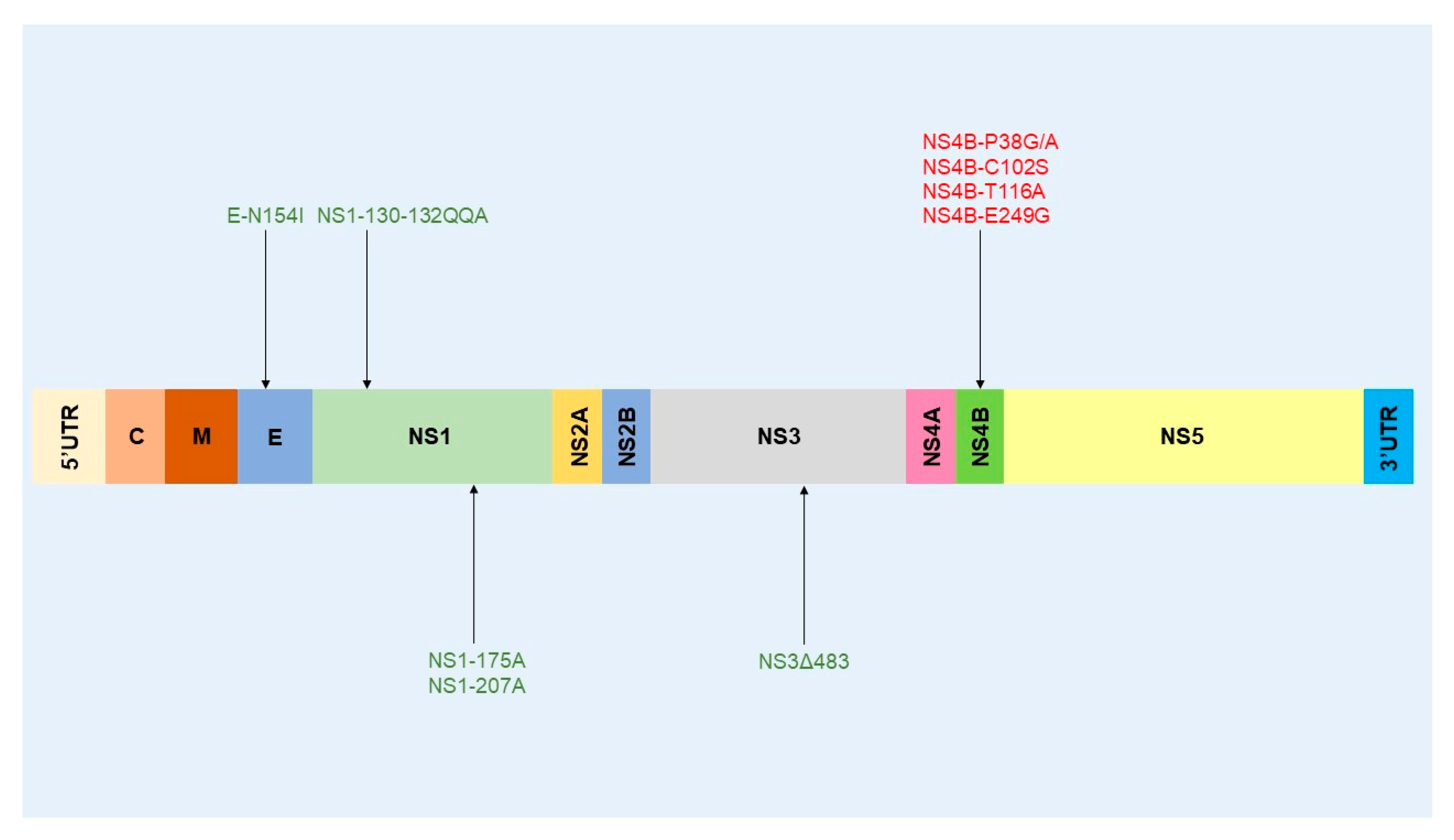 Ijms 21 09117 g008 Ijms 21 09117 g008