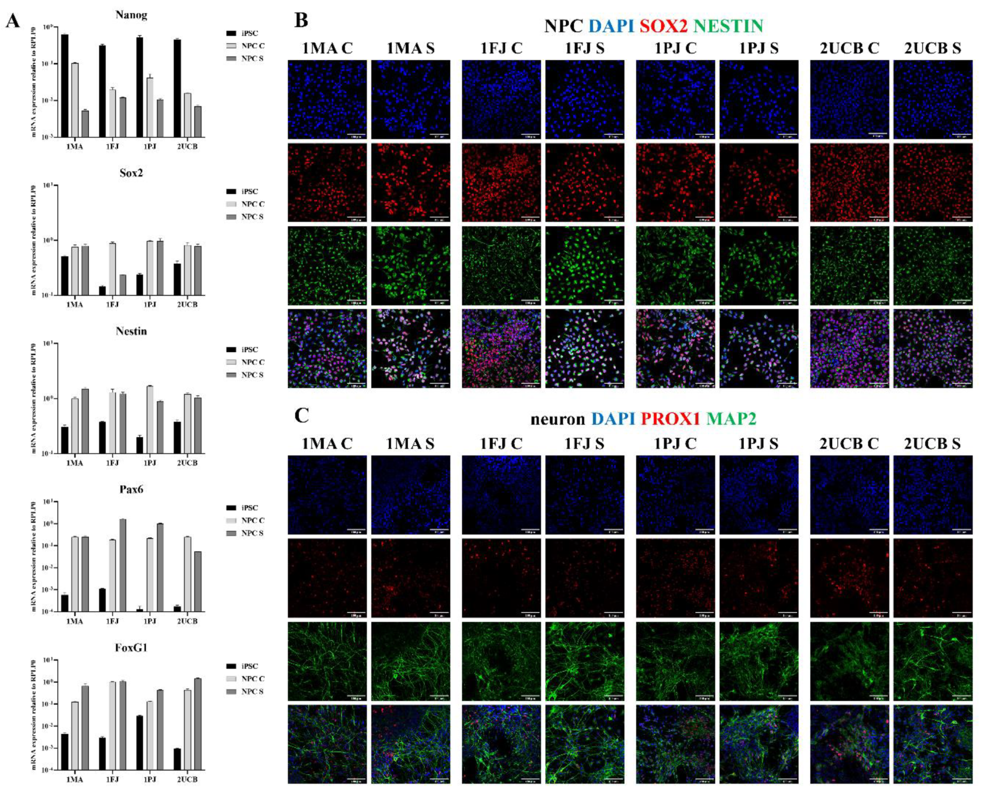 Ijms 21 09118 g001 Ijms 21 09118 g001