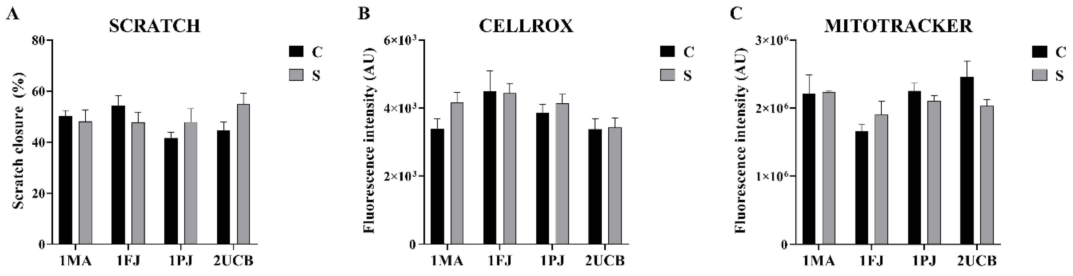 Ijms 21 09118 g003 Ijms 21 09118 g003