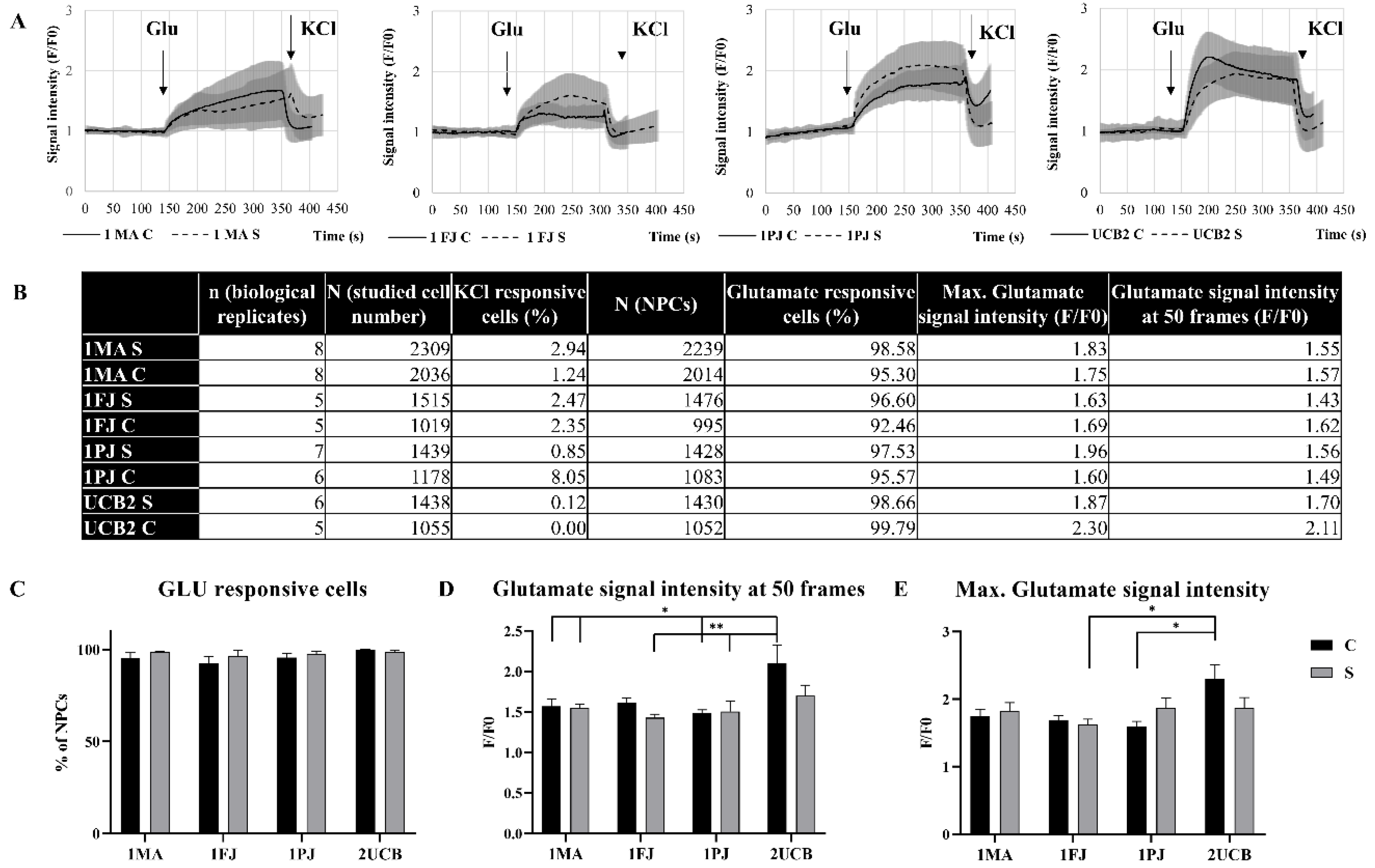 Ijms 21 09118 g004 Ijms 21 09118 g004