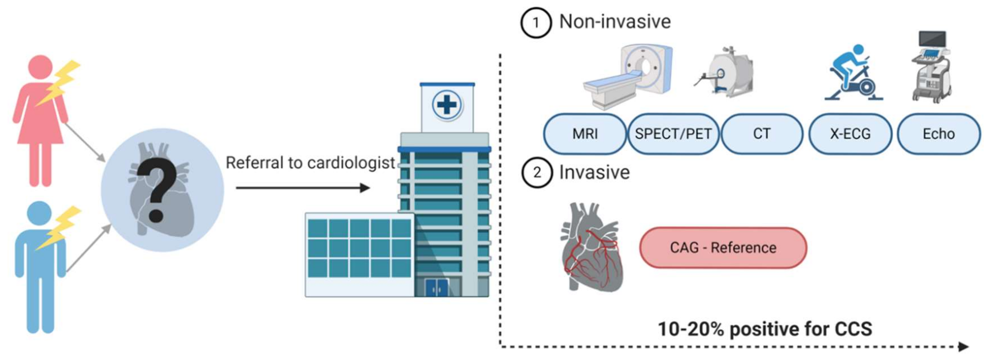 Ijms 21 09128 g001 Ijms 21 09128 g001