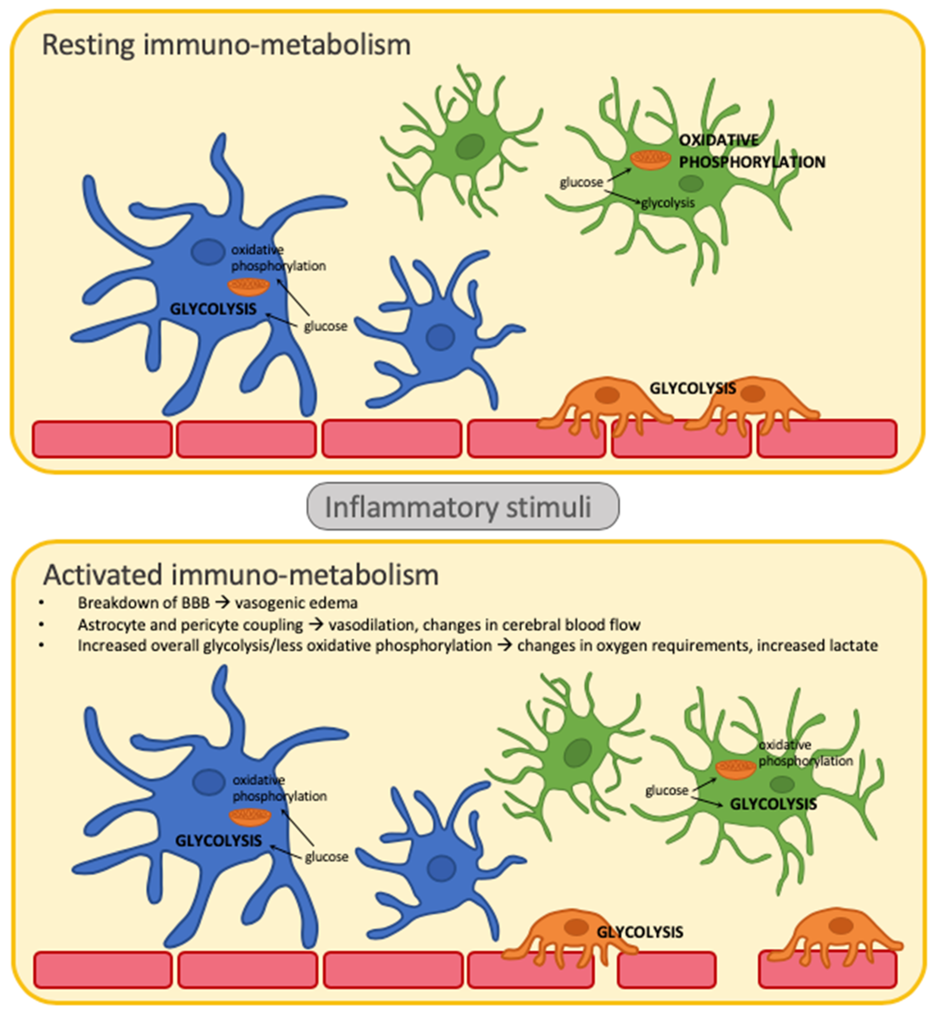 IJMS | Free Full-Text | Neuroinflammation and Precision Medicine in Pediatric Neurocritical Care: Multi-Modal Monitoring of Immunometabolic Dysfunction IJMS | Free Full-Text | Neuroinflammation and Precision Medicine in Pediatric Neurocritical Care: Multi-Modal Monitoring of Immunometabolic Dysfunction
