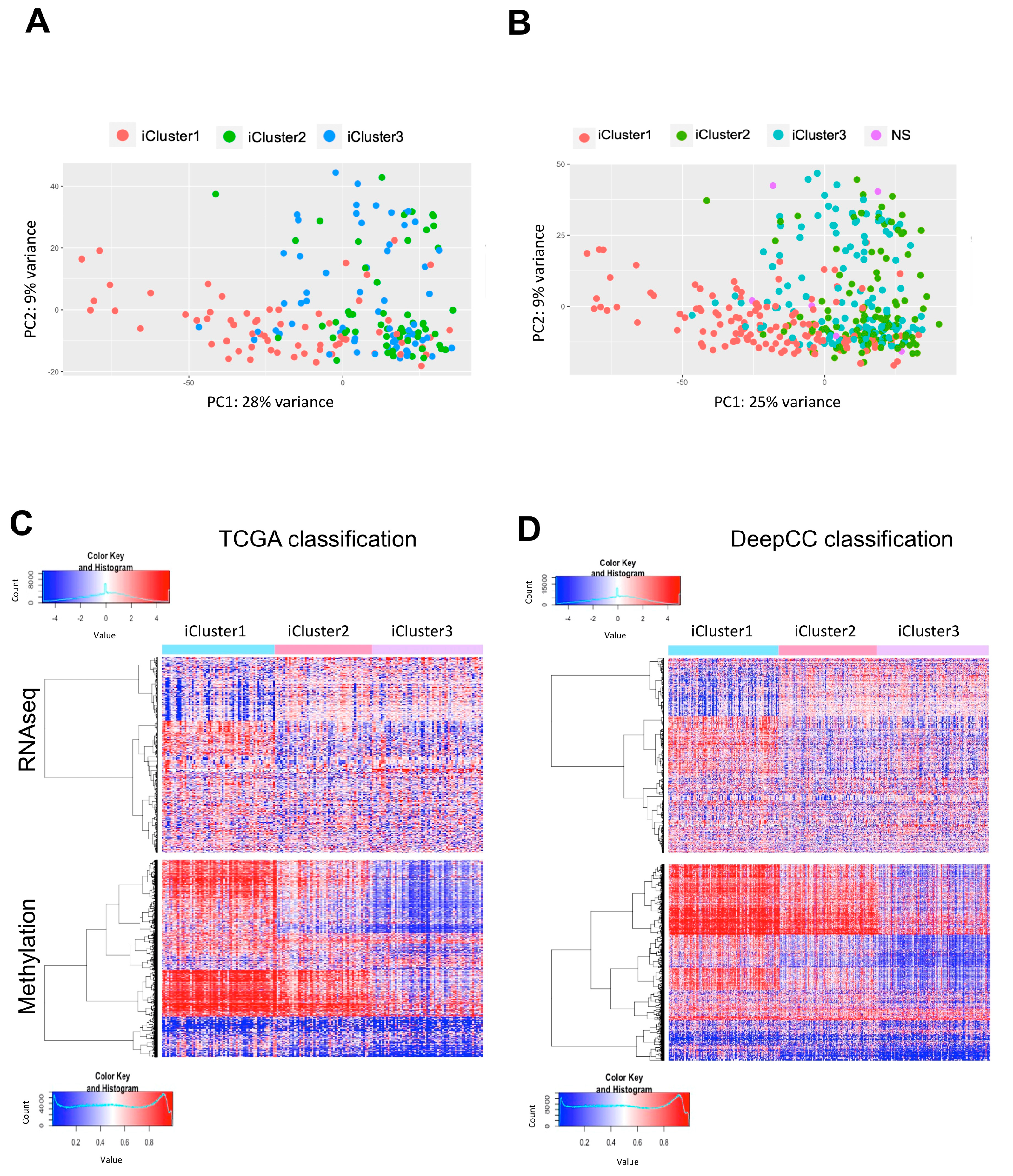 Ijms 21 09157 g003 Ijms 21 09157 g003