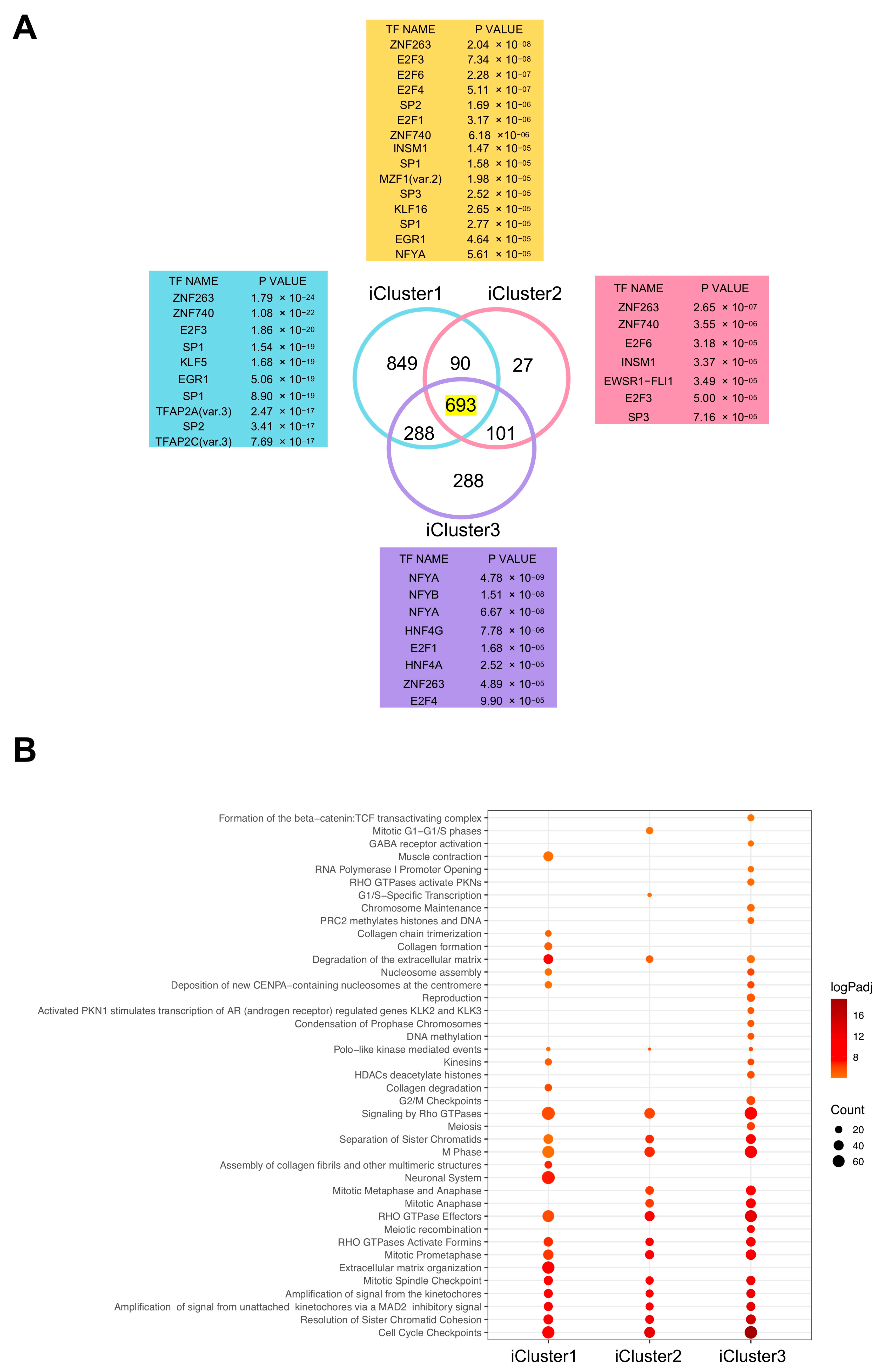 Ijms 21 09157 g004 Ijms 21 09157 g004