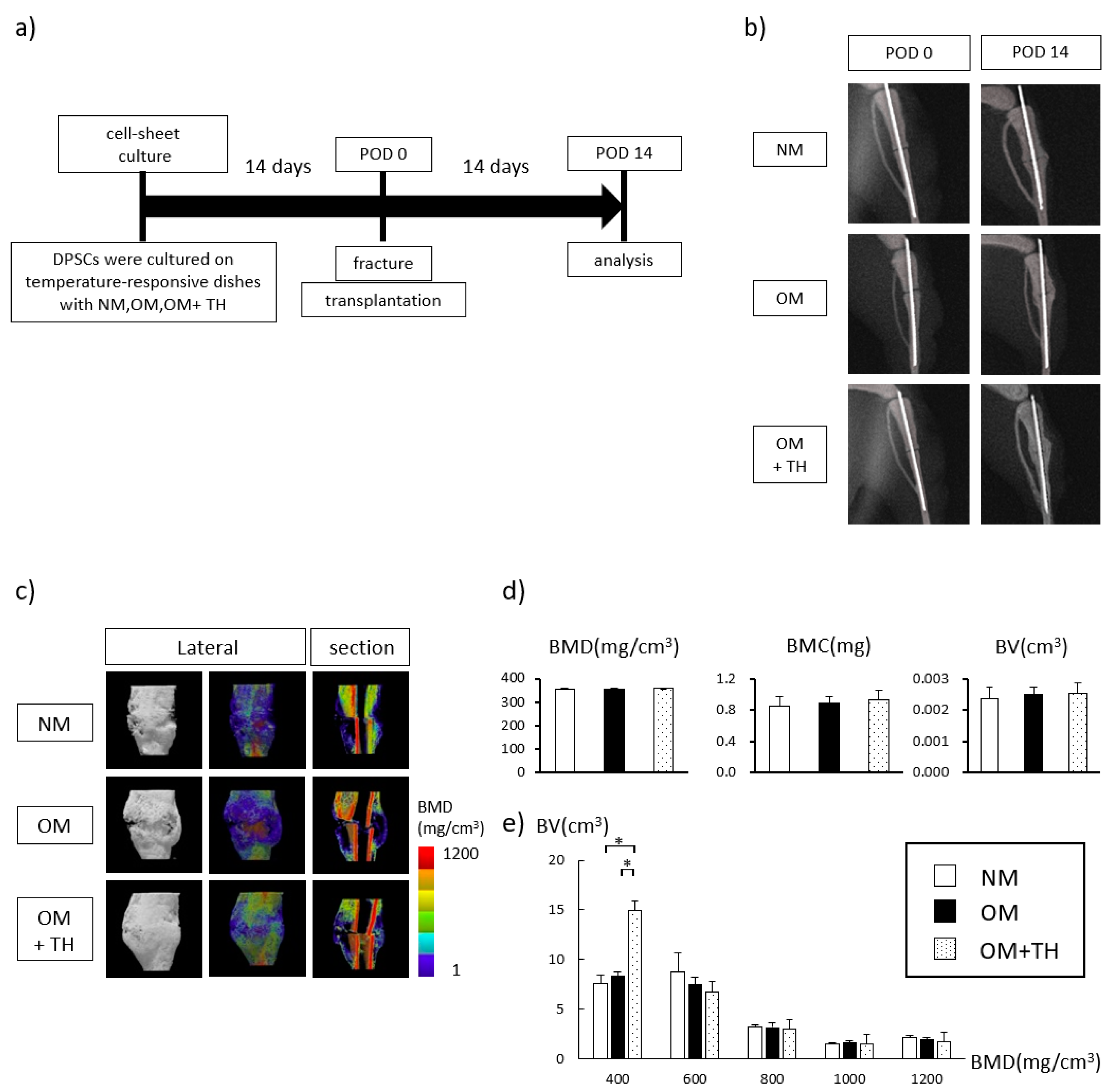 Ijms 21 09158 g002 Ijms 21 09158 g002
