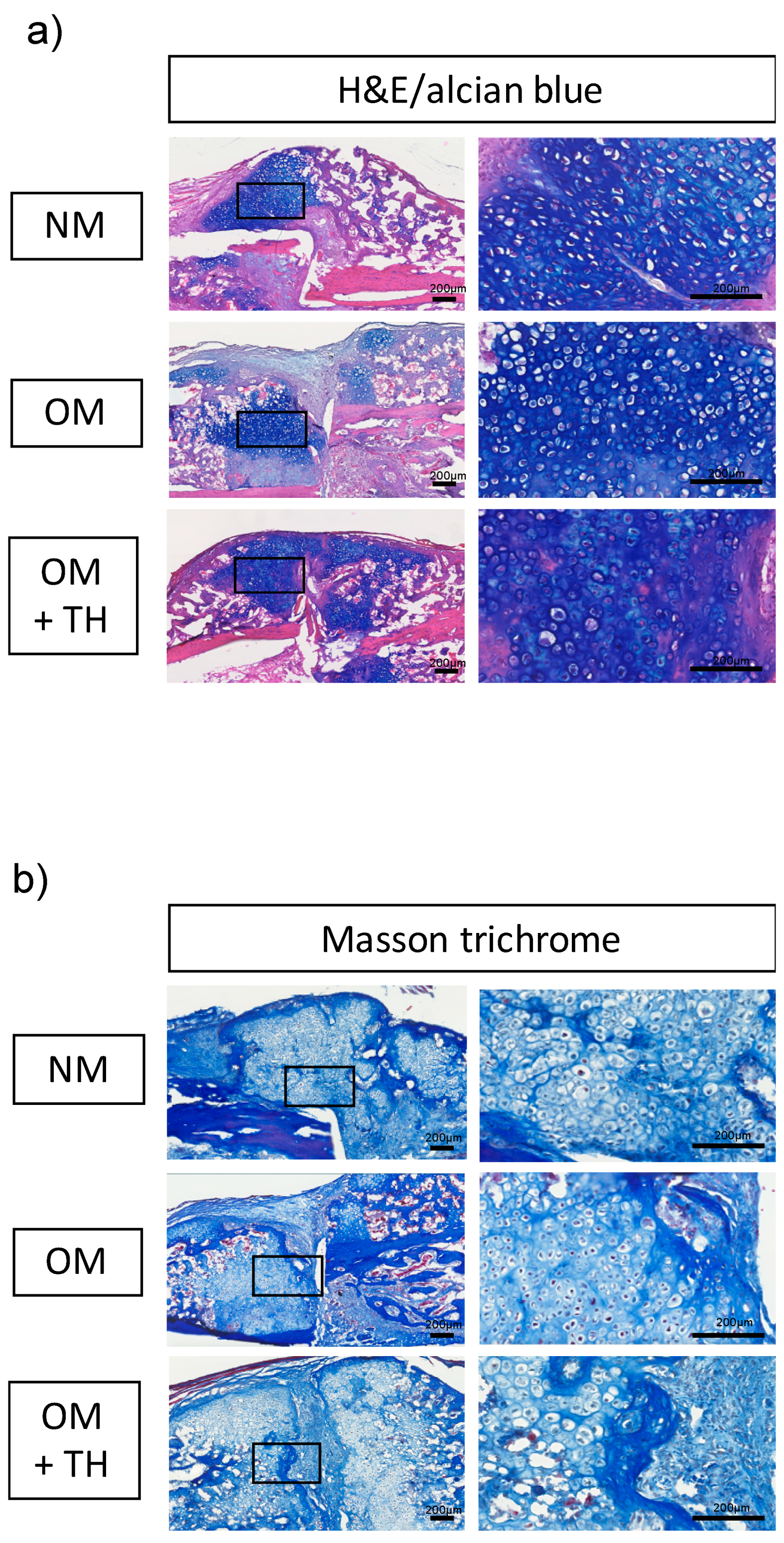 Ijms 21 09158 g003 Ijms 21 09158 g003
