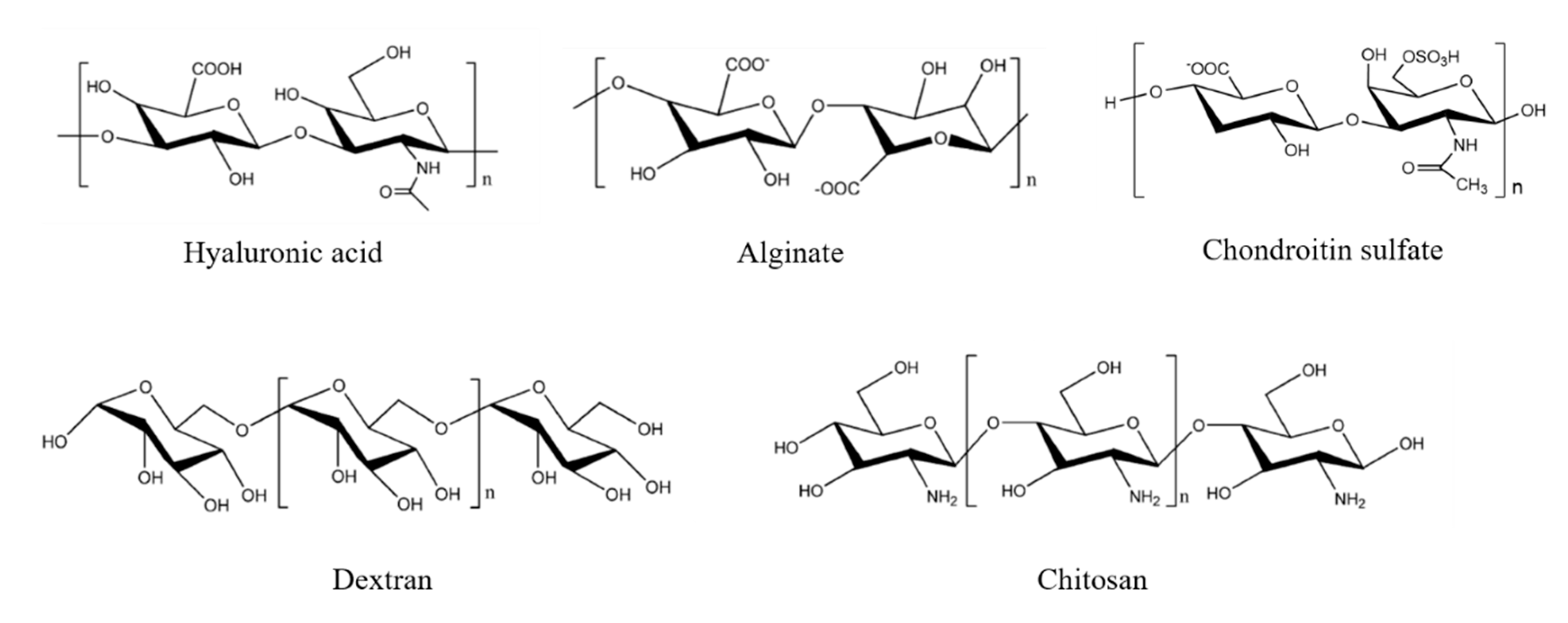 IJMS Free FullText Versatile Types of PolysaccharideBased Drug