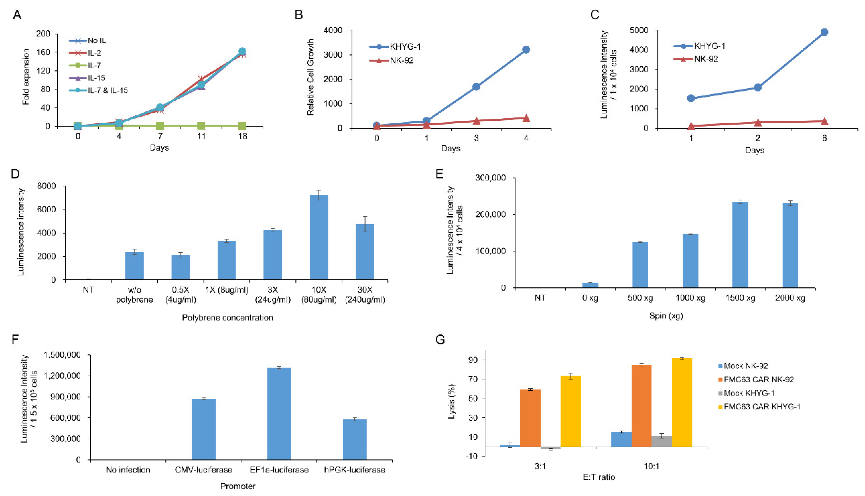 Ijms 21 09163 g001 Ijms 21 09163 g001