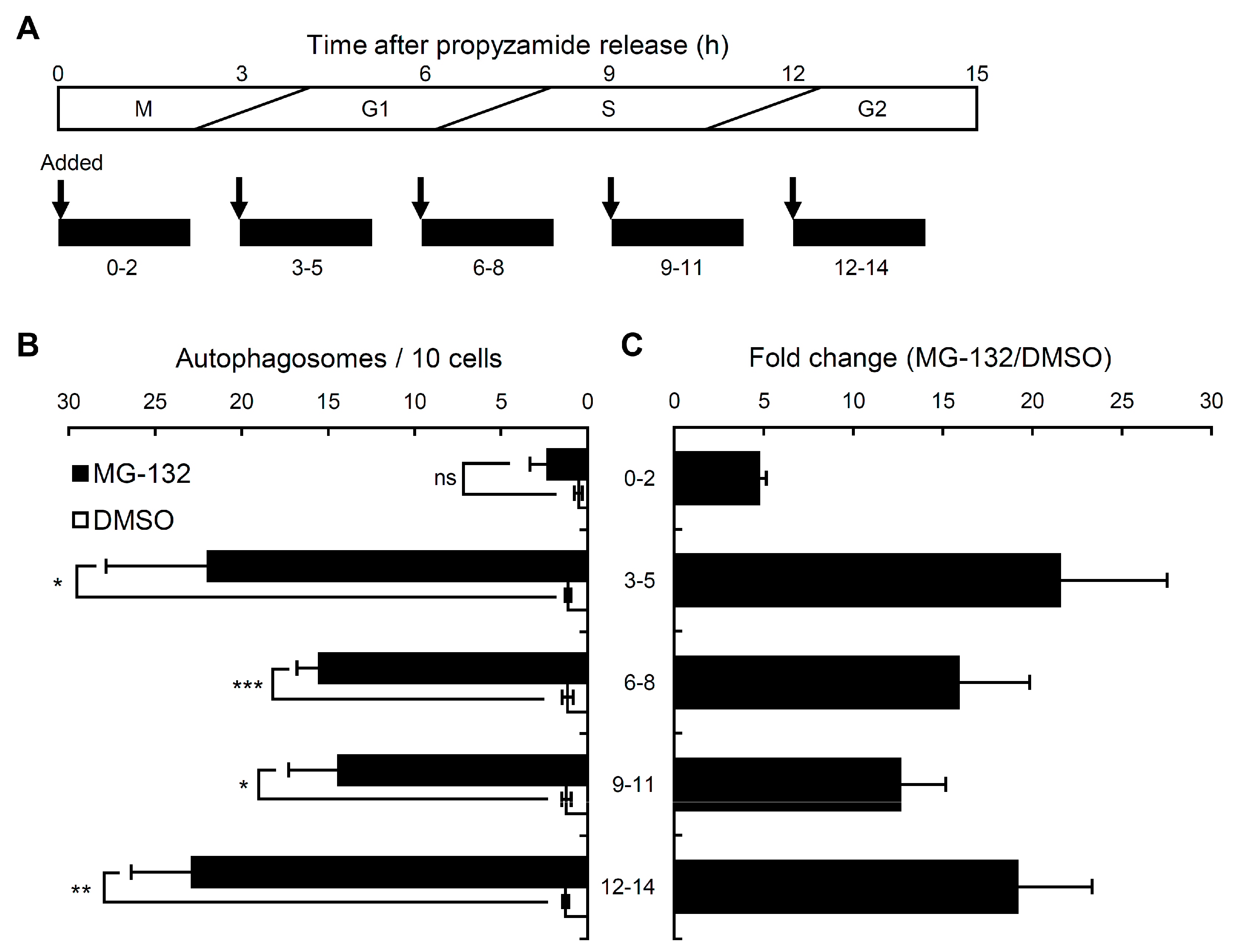 Ijms 21 09166 g005 Ijms 21 09166 g005