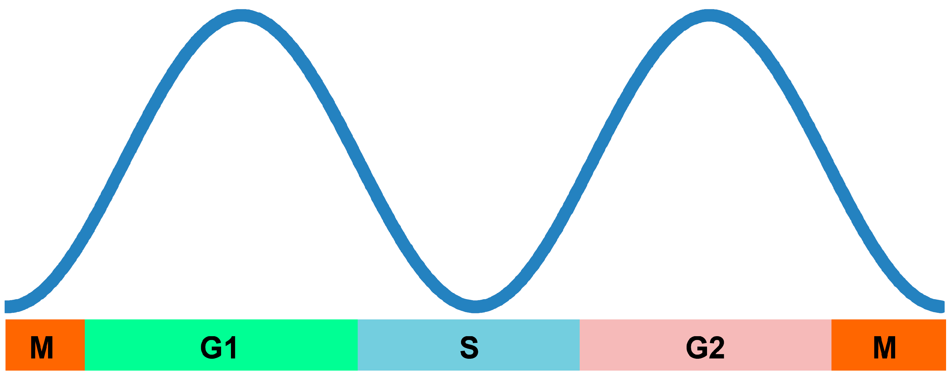 Ijms 21 09166 g006 Ijms 21 09166 g006