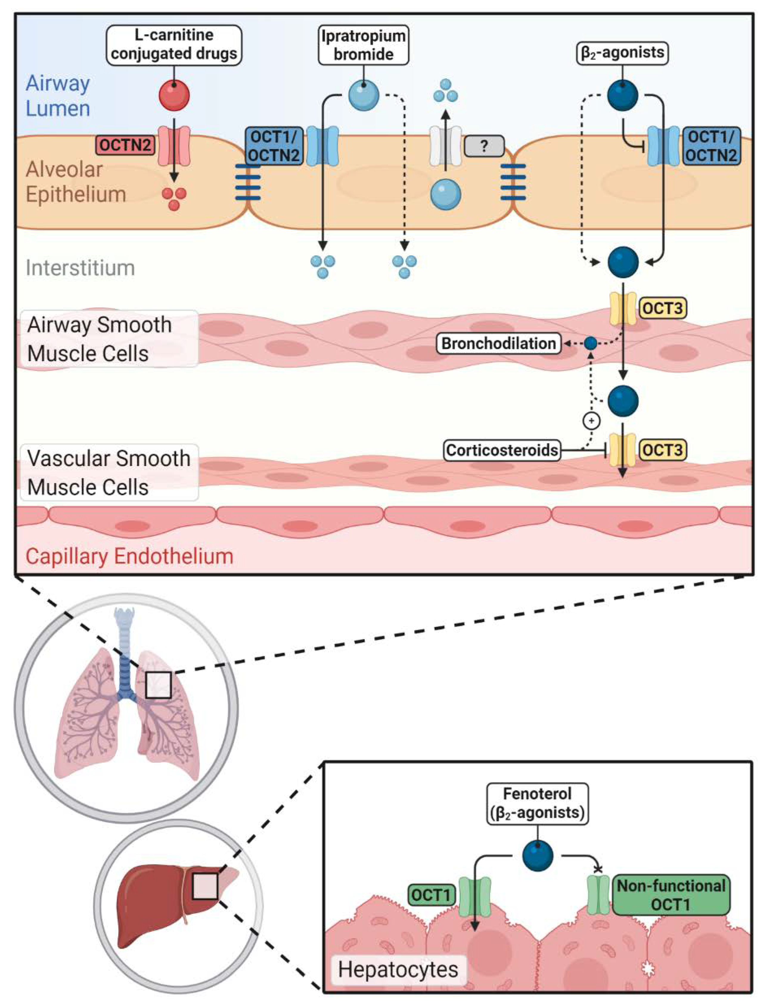 Ijms 21 09168 g002 Ijms 21 09168 g002