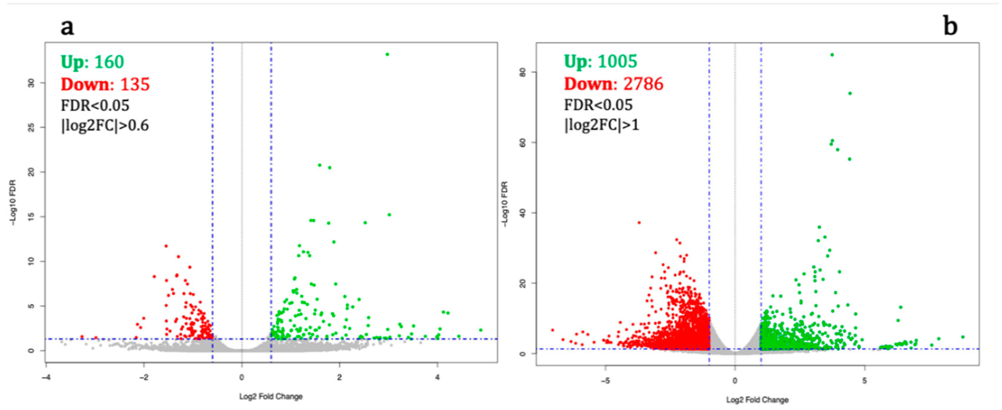 Ijms 21 09182 g001 Ijms 21 09182 g001