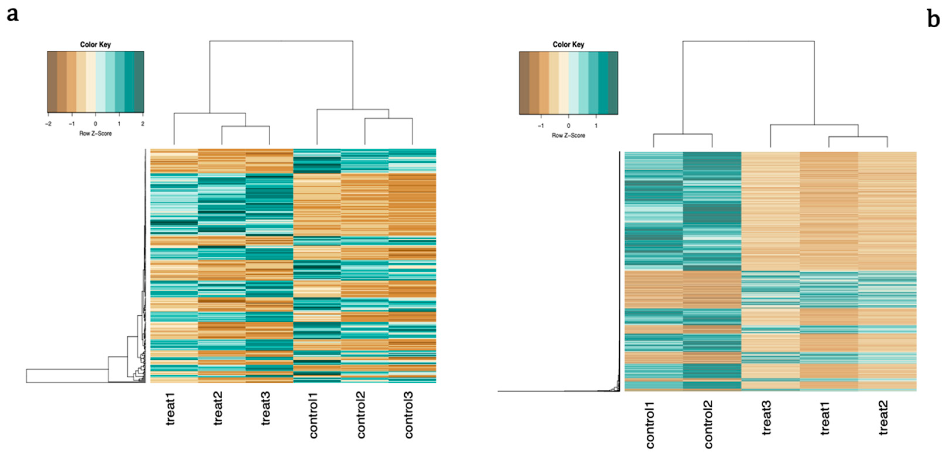 Ijms 21 09182 g003 Ijms 21 09182 g003