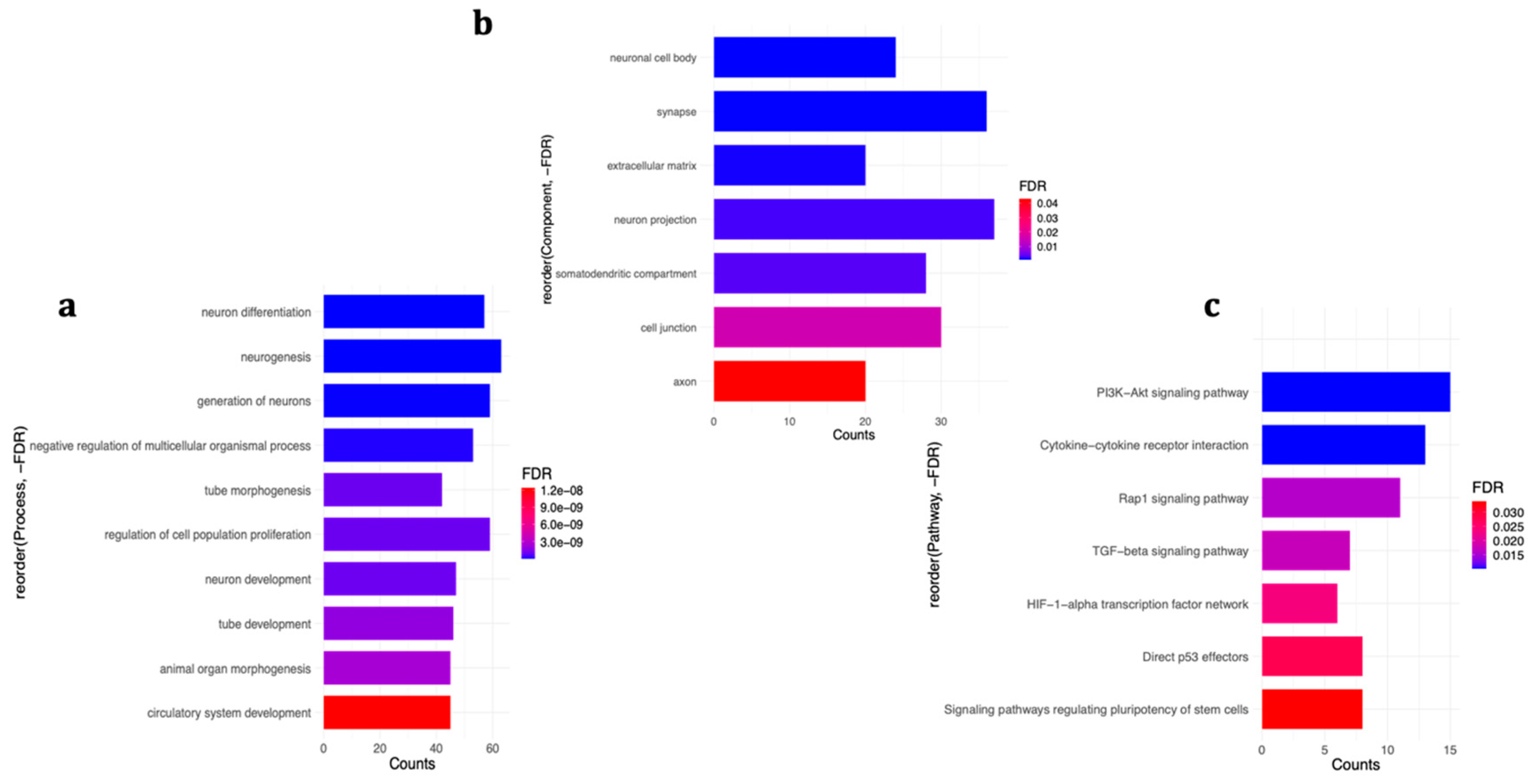 Ijms 21 09182 g004 Ijms 21 09182 g004