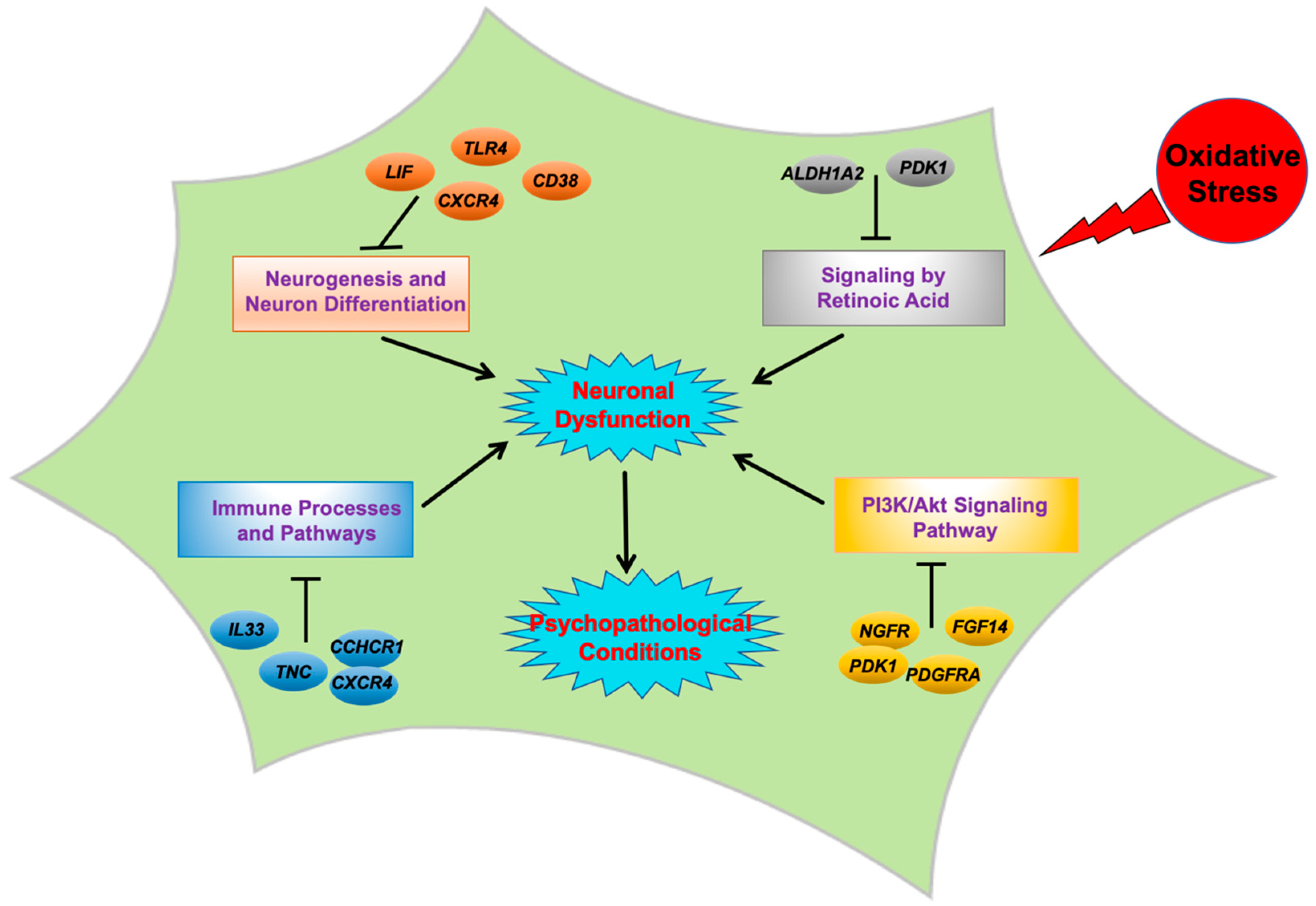 Ijms 21 09182 g006 Ijms 21 09182 g006