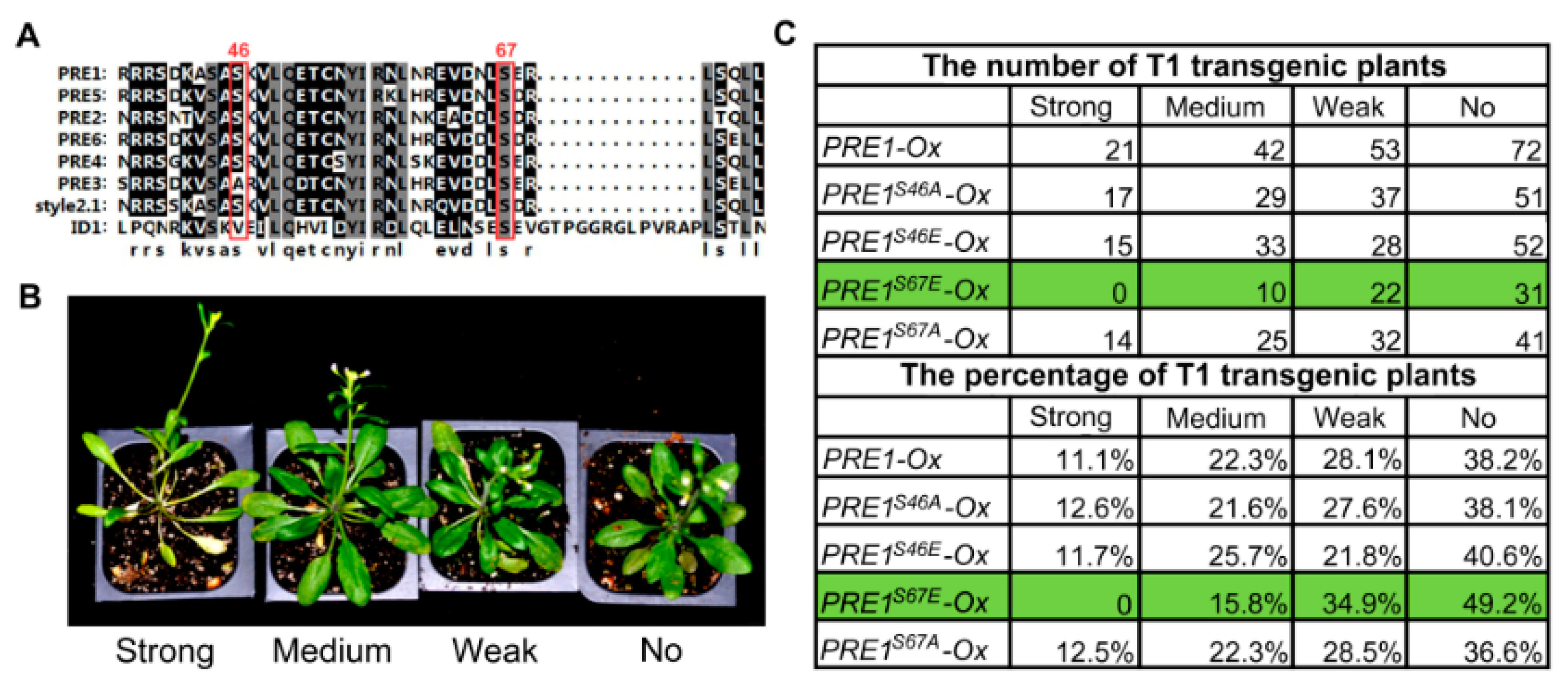 Ijms 21 09183 g001 Ijms 21 09183 g001