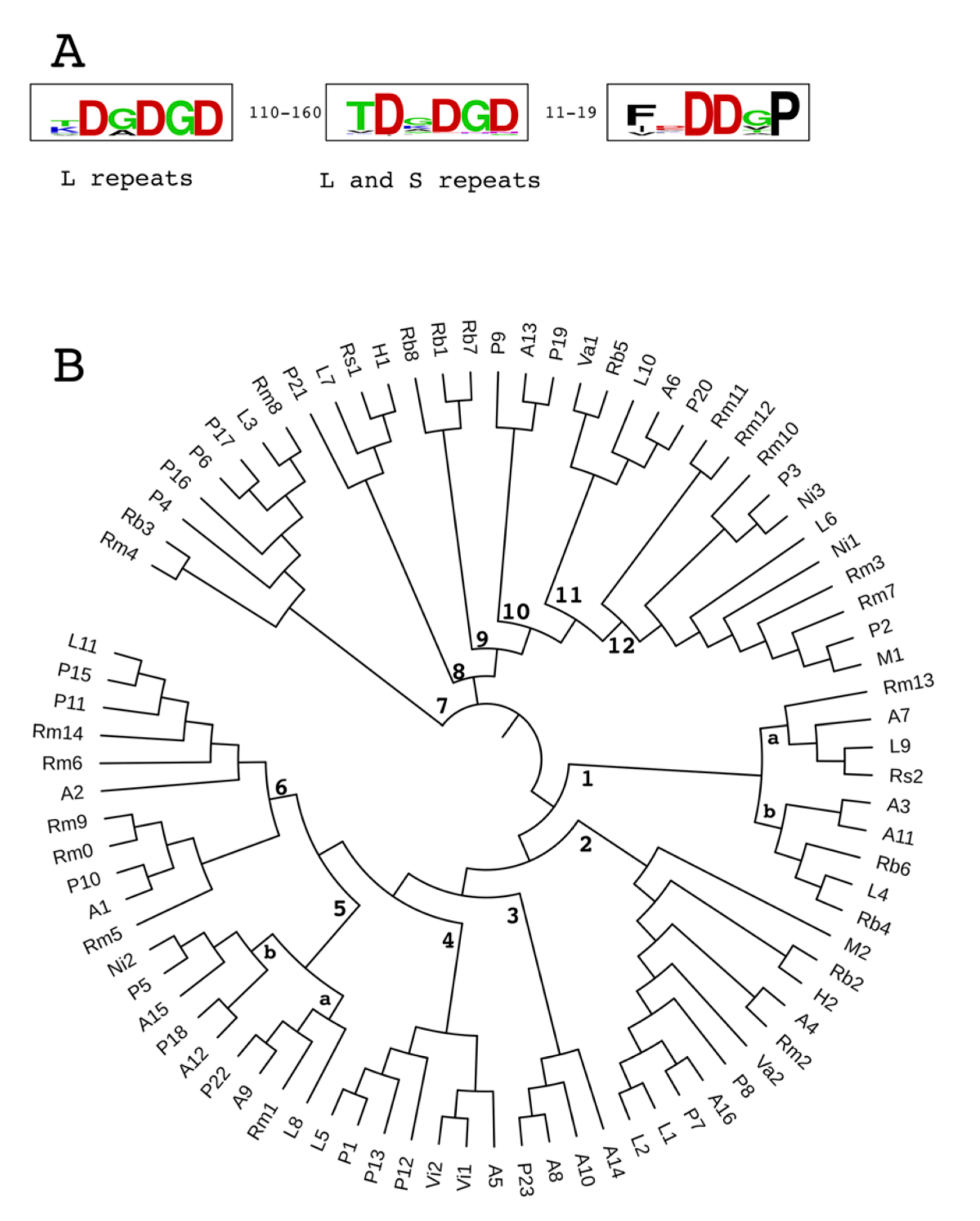Ijms 21 09184 g004 Ijms 21 09184 g004