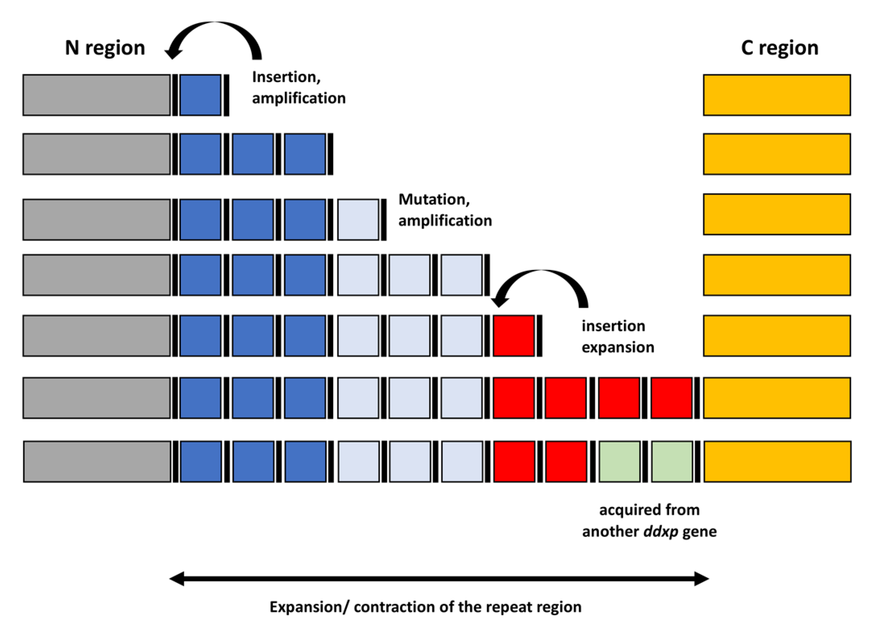 Ijms 21 09184 g005 Ijms 21 09184 g005