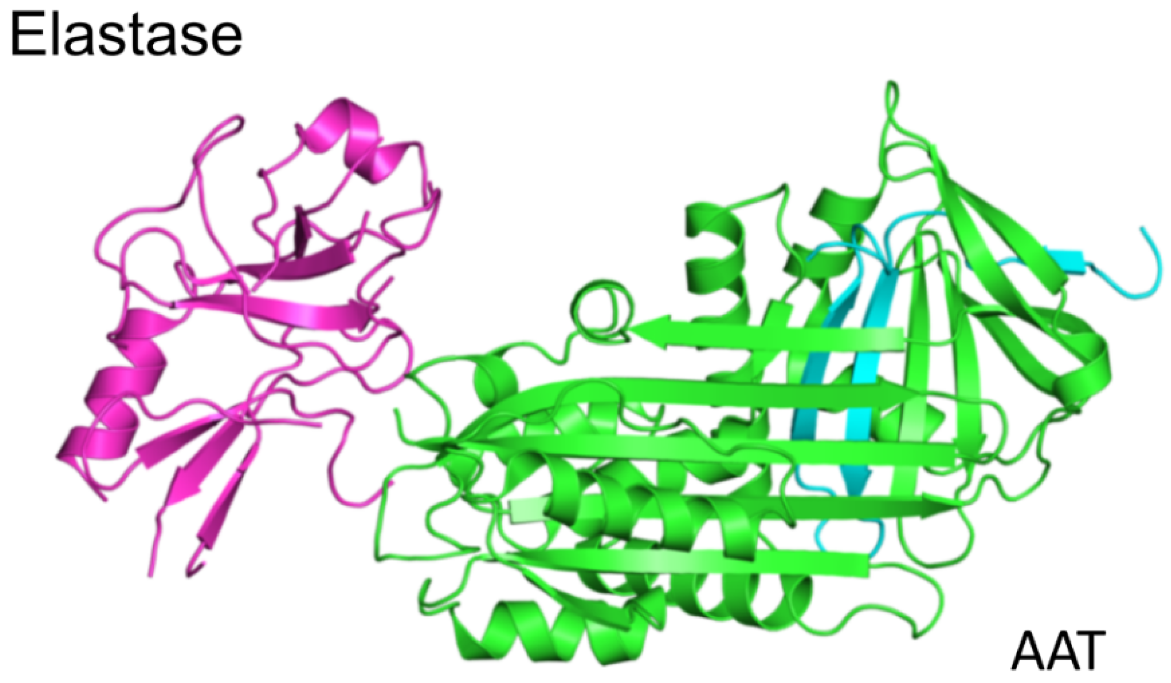Ijms Free Full Text Post Translational Modifications Of Circulating Alpha 1 Antitrypsin Protein Html Ijms Free Full Text Post Translational Modifications Of Circulating Alpha 1 Antitrypsin Protein Html
