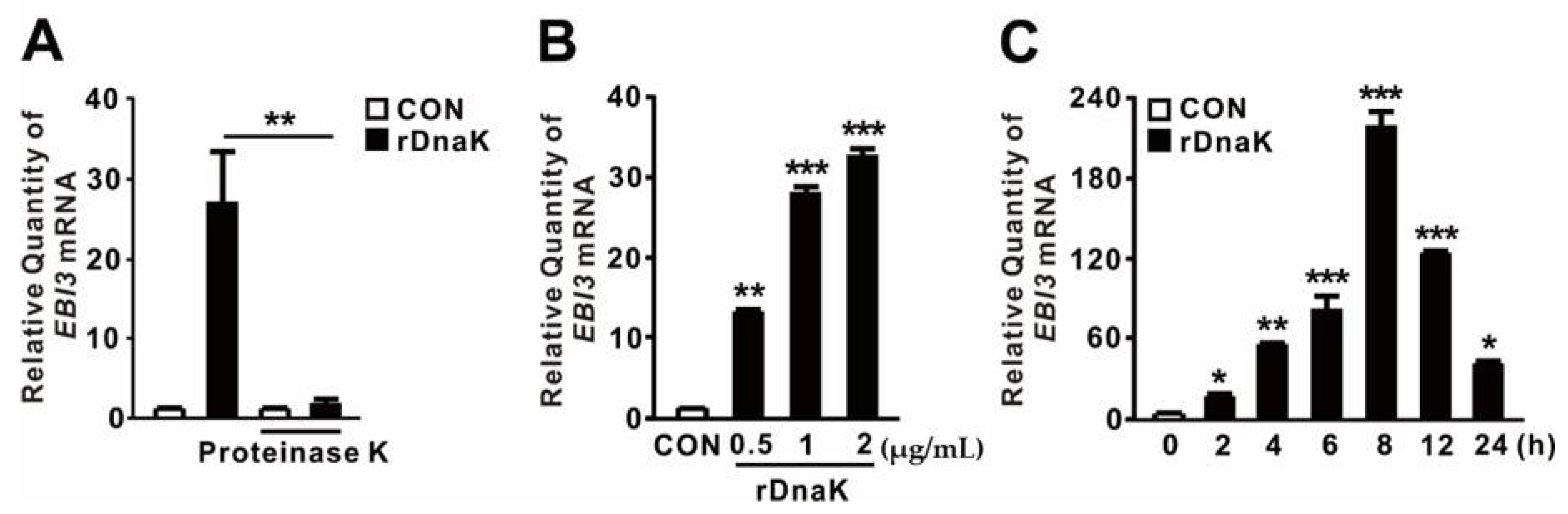 Ijms 21 09194 g002 Ijms 21 09194 g002