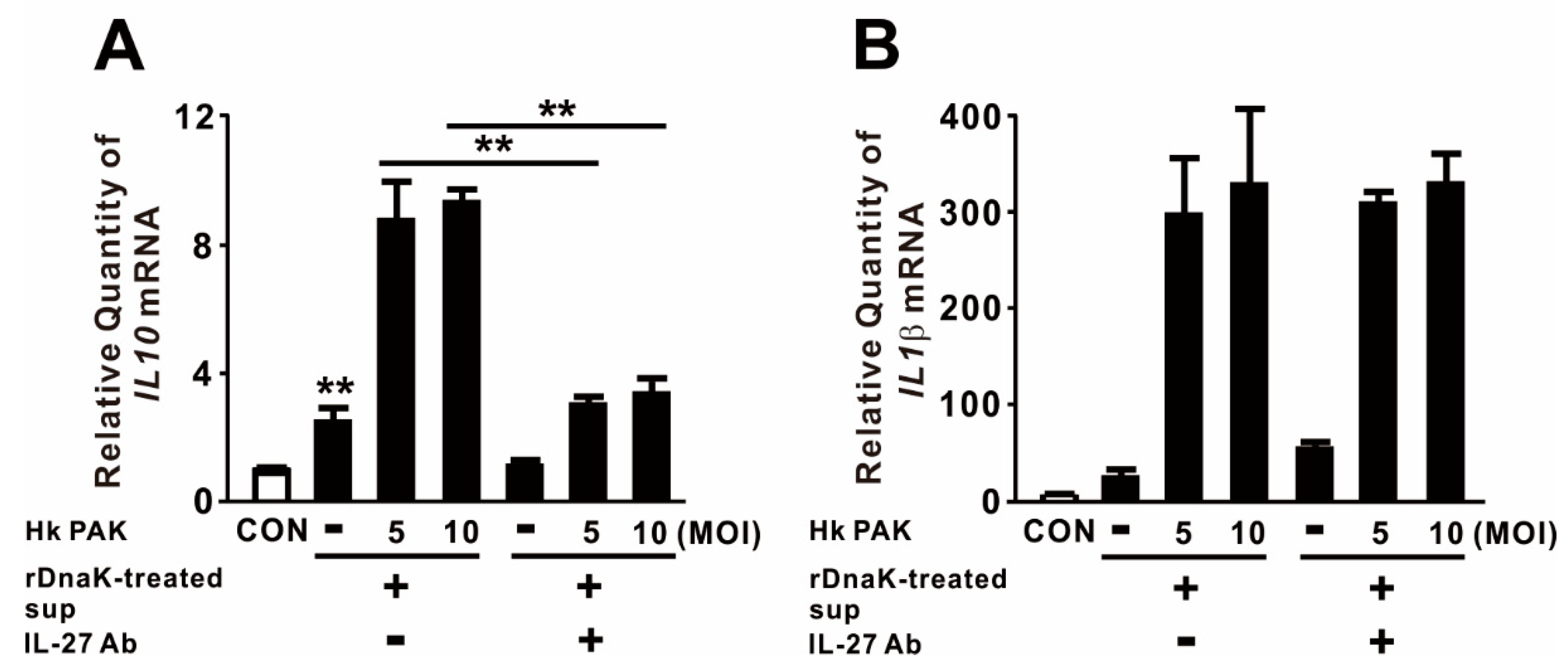 Ijms 21 09194 g004 Ijms 21 09194 g004