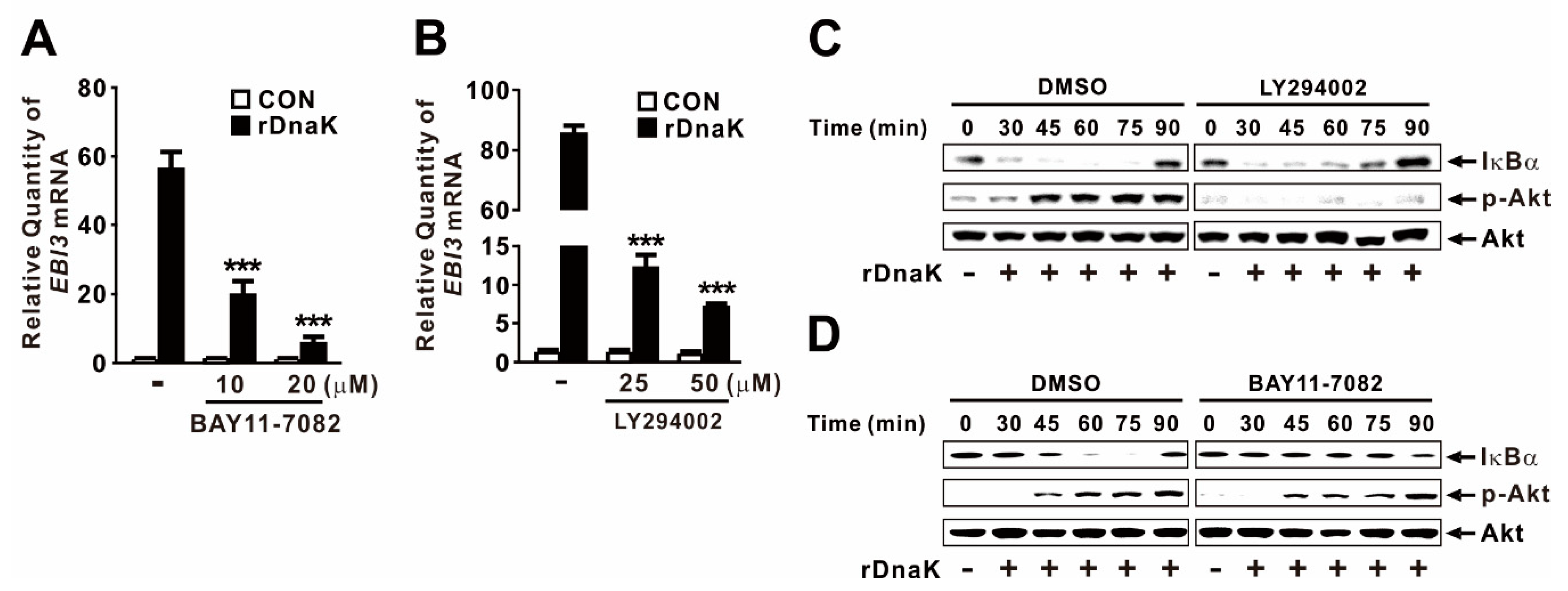 Ijms 21 09194 g005 Ijms 21 09194 g005