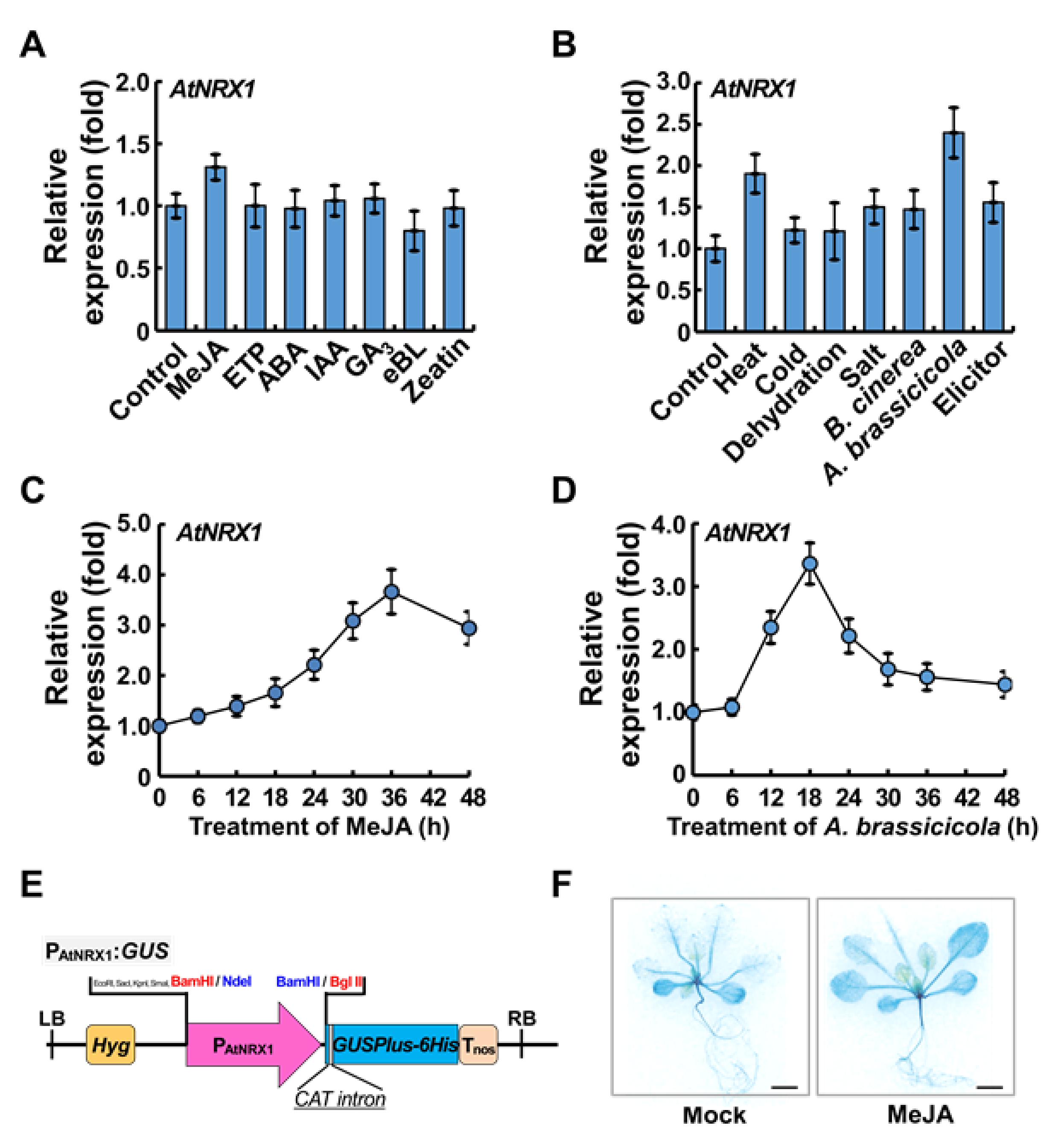 Ijms 21 09196 g004 Ijms 21 09196 g004