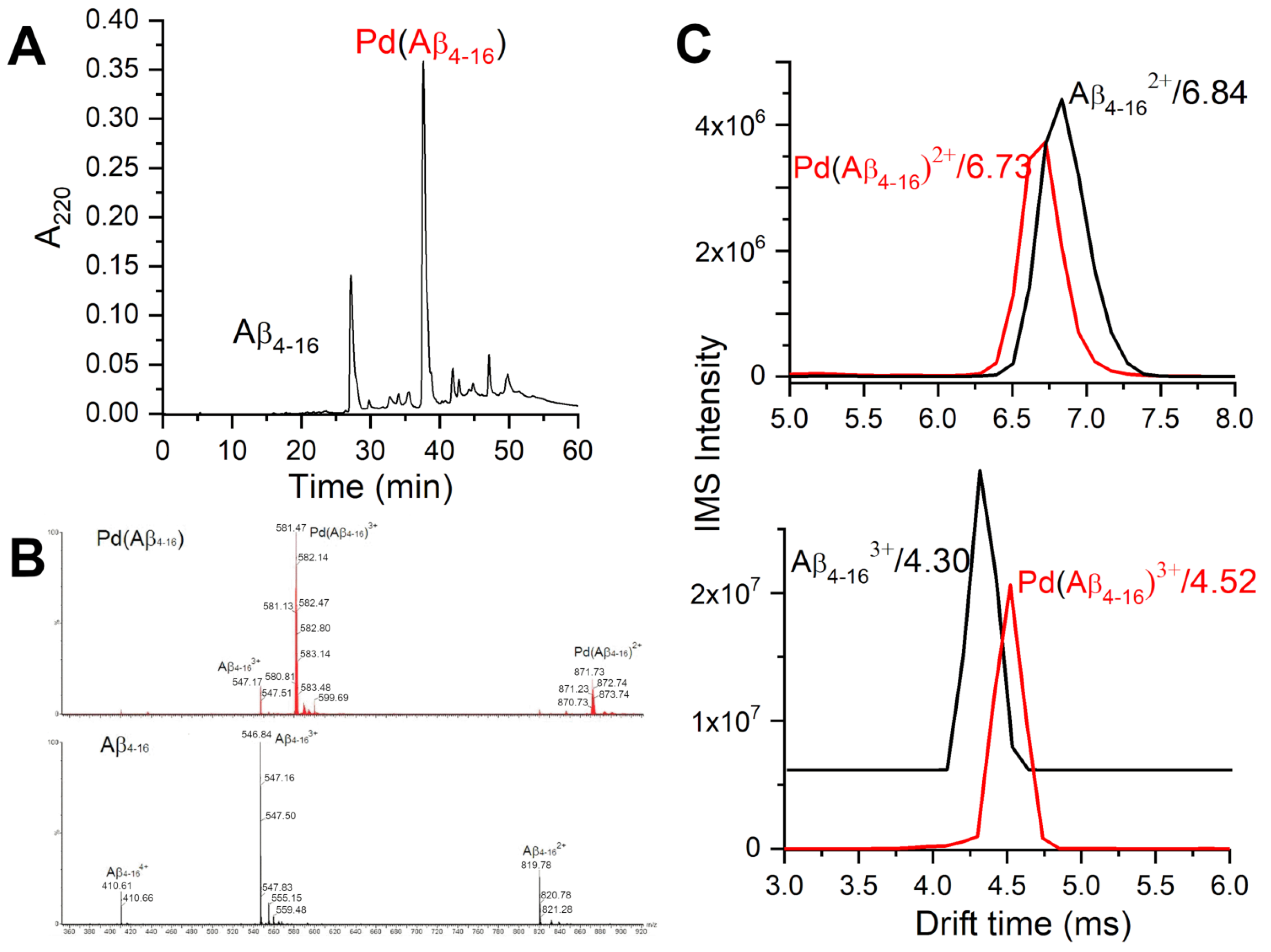 Ijms 21 09200 g002 Ijms 21 09200 g002