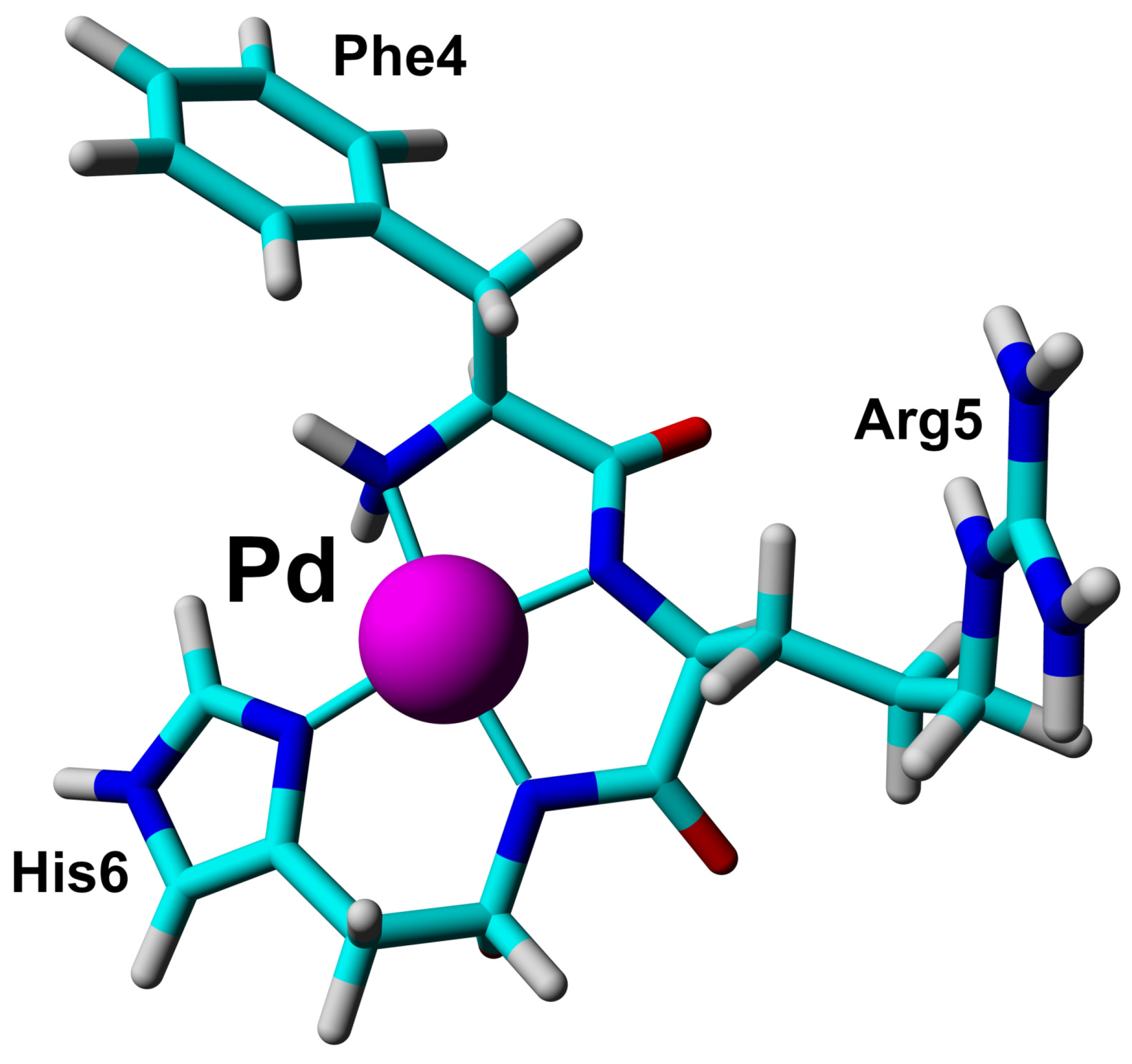 Ijms 21 09200 g005 Ijms 21 09200 g005