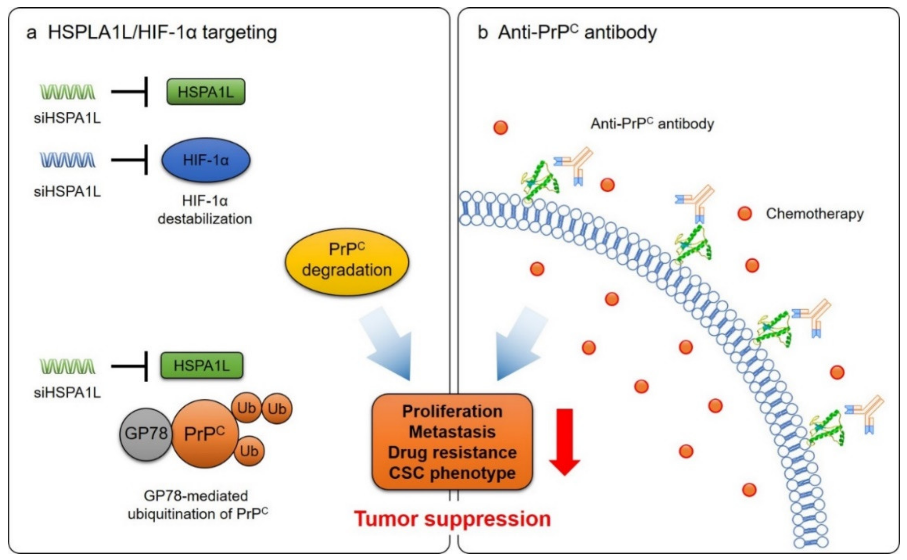 Ijms 21 09208 g002 Ijms 21 09208 g002