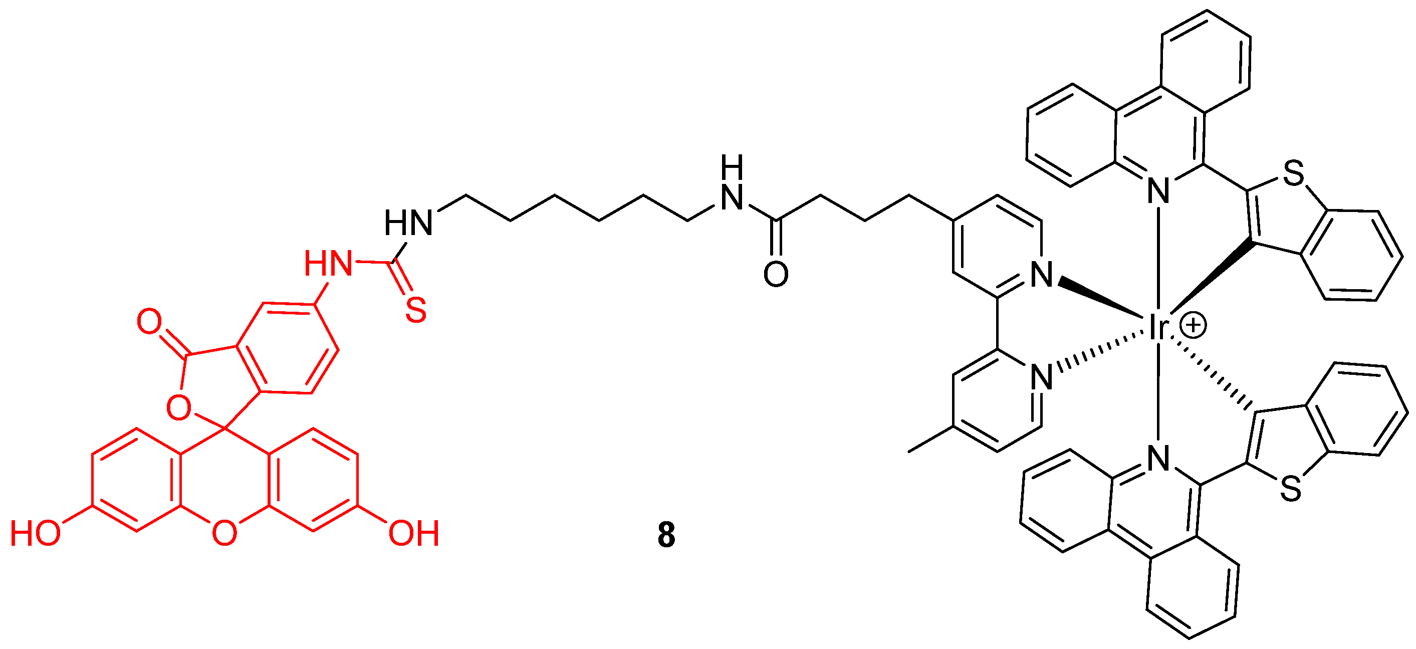 Ijms 21 09217 g008 Ijms 21 09217 g008