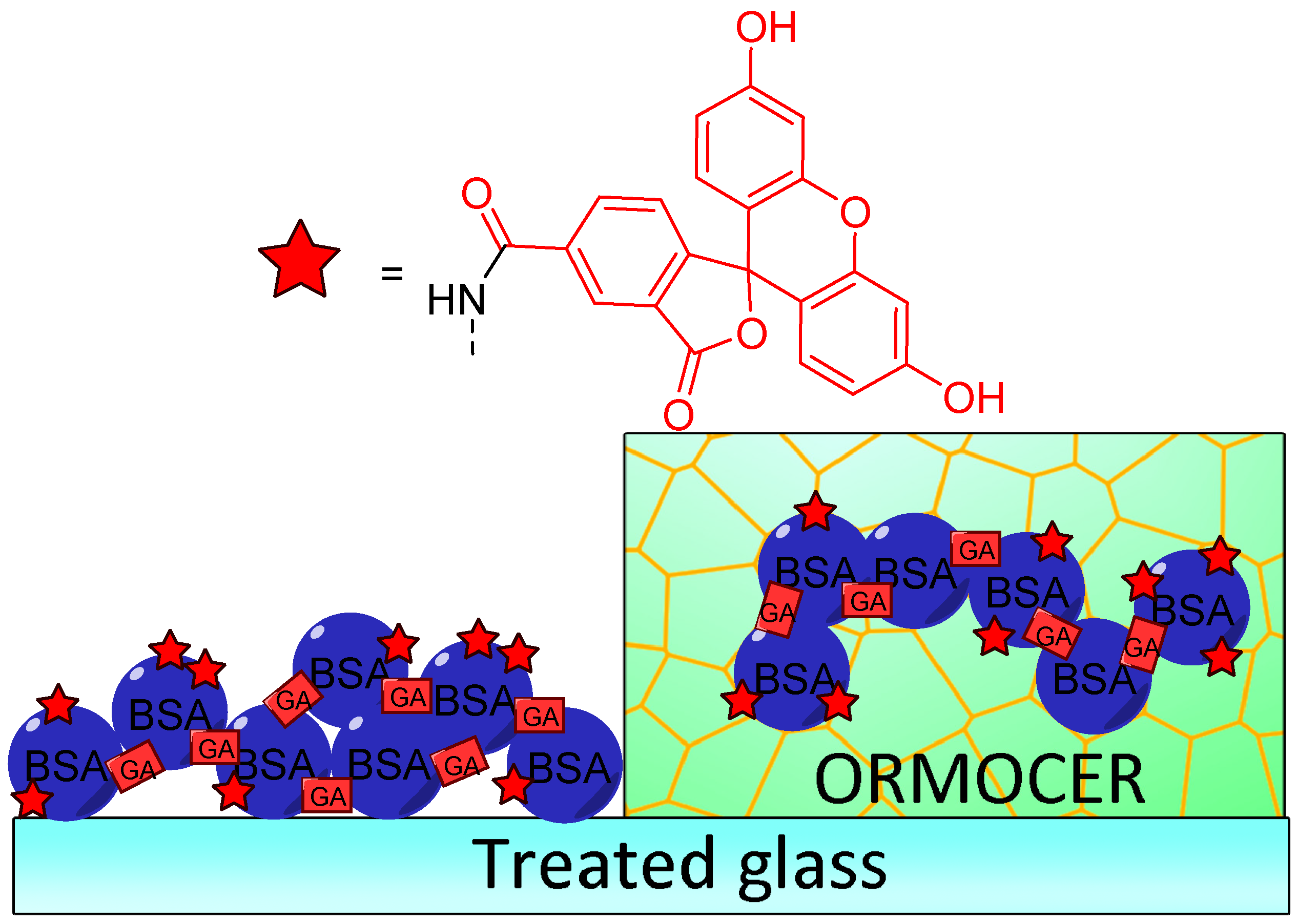 Ijms 21 09217 g014 Ijms 21 09217 g014