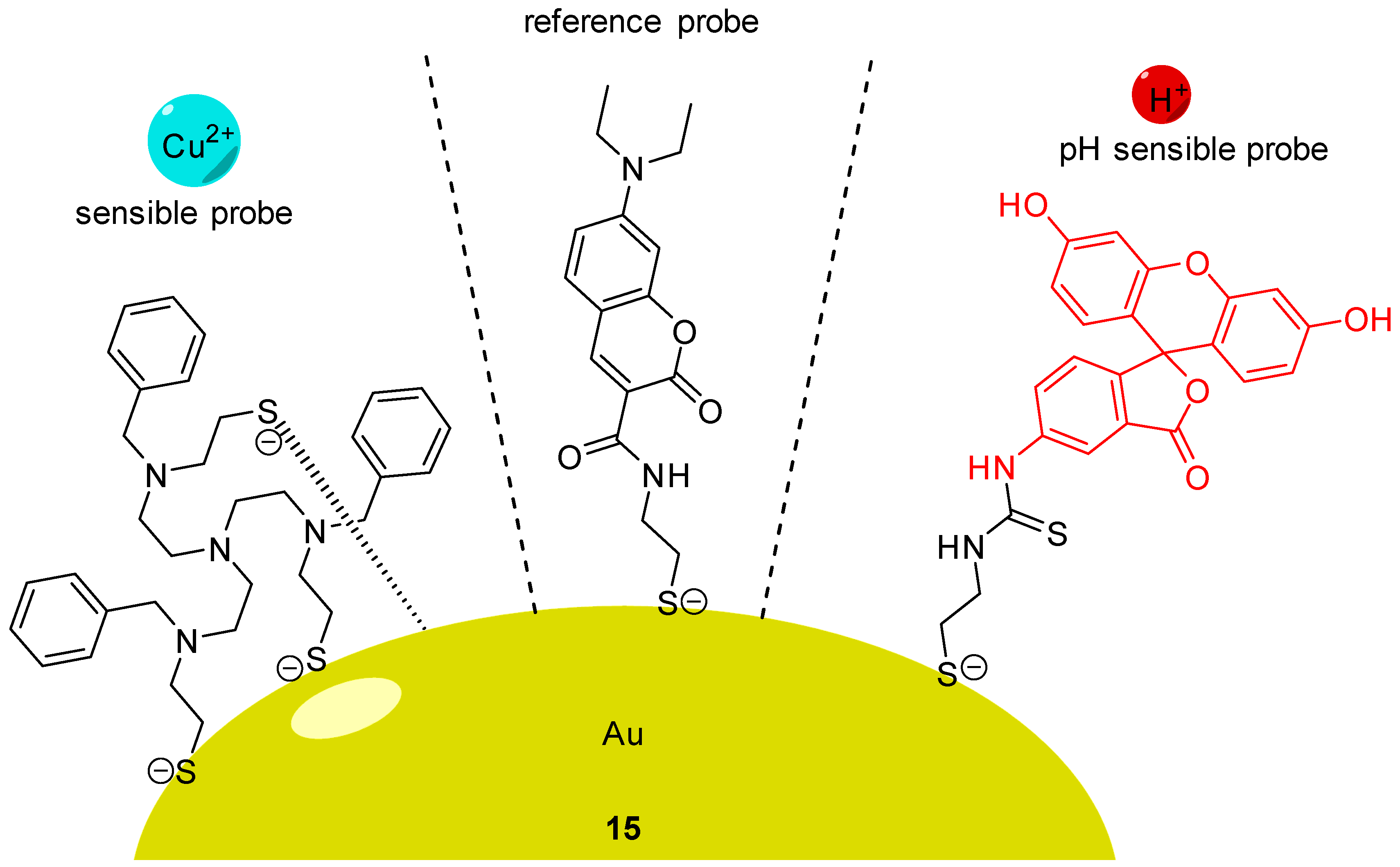 Ijms 21 09217 g015 Ijms 21 09217 g015