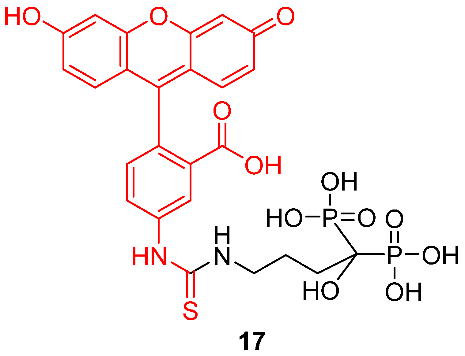 Ijms 21 09217 g021 Ijms 21 09217 g021