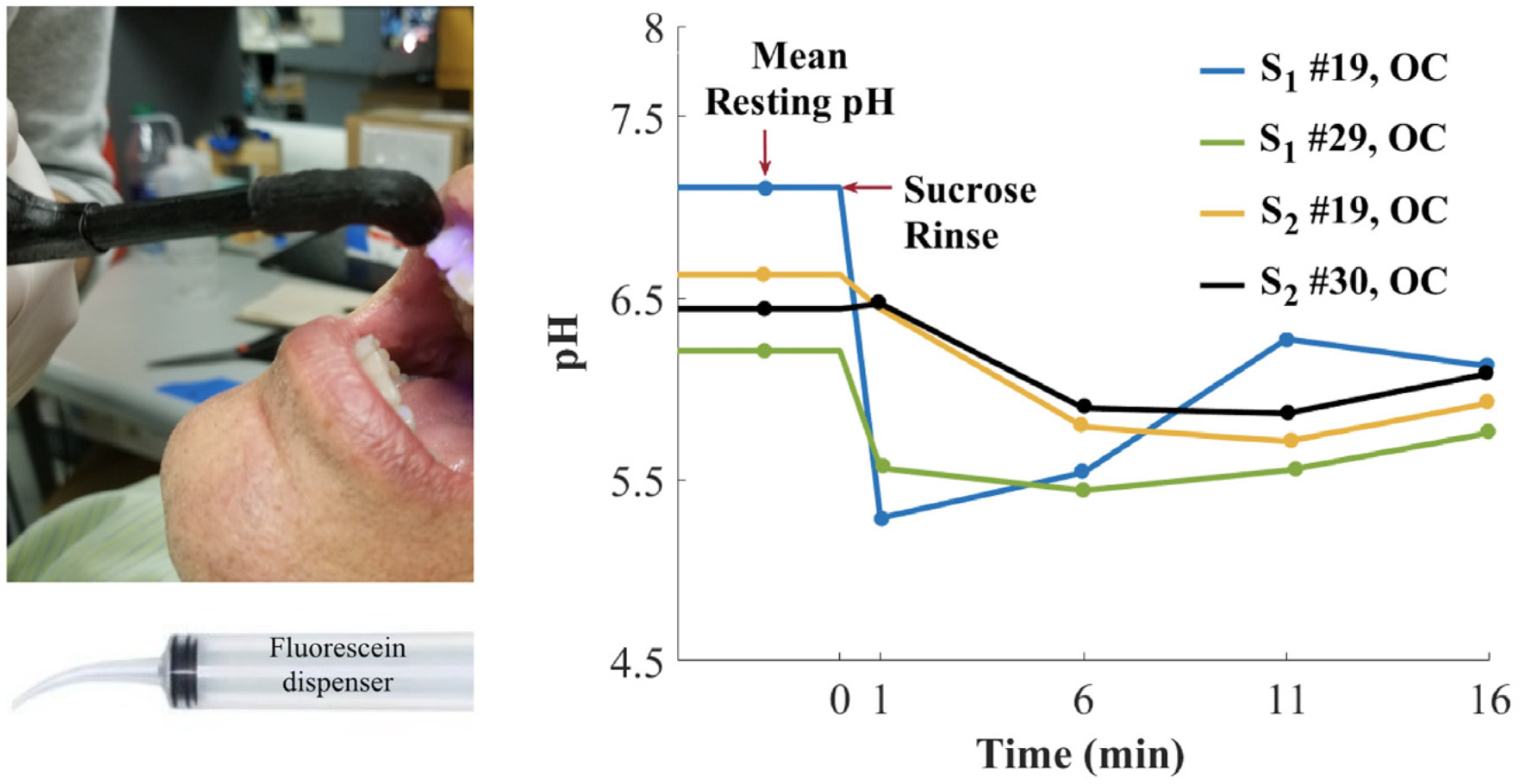 Ijms 21 09217 g022 Ijms 21 09217 g022