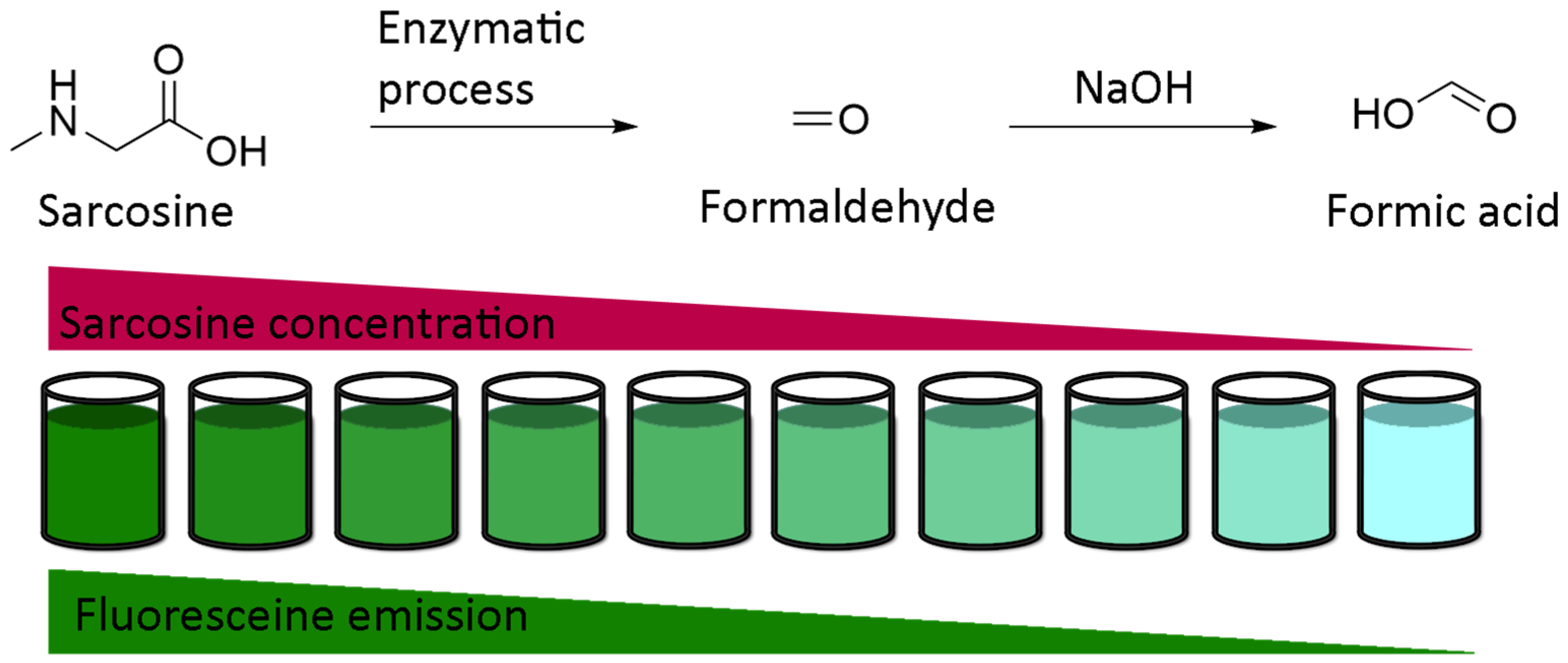 Ijms 21 09217 g023 Ijms 21 09217 g023