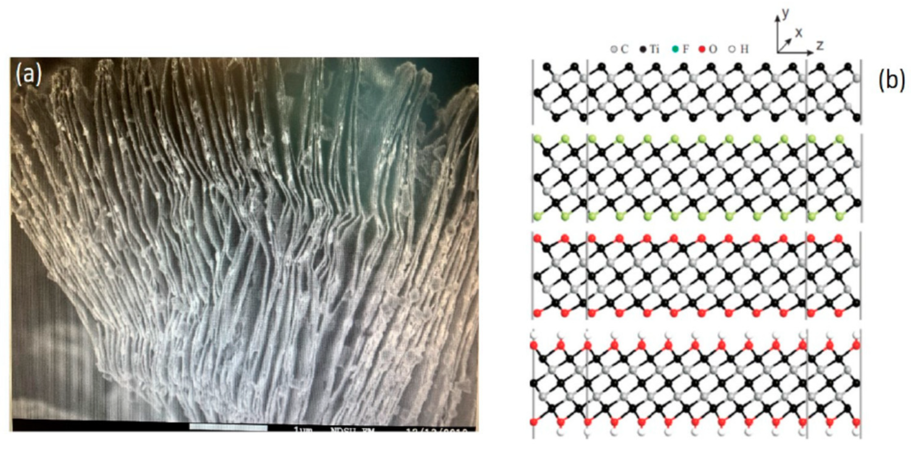 Progress and Insights in the Application of MXenes as New 2D Nano 