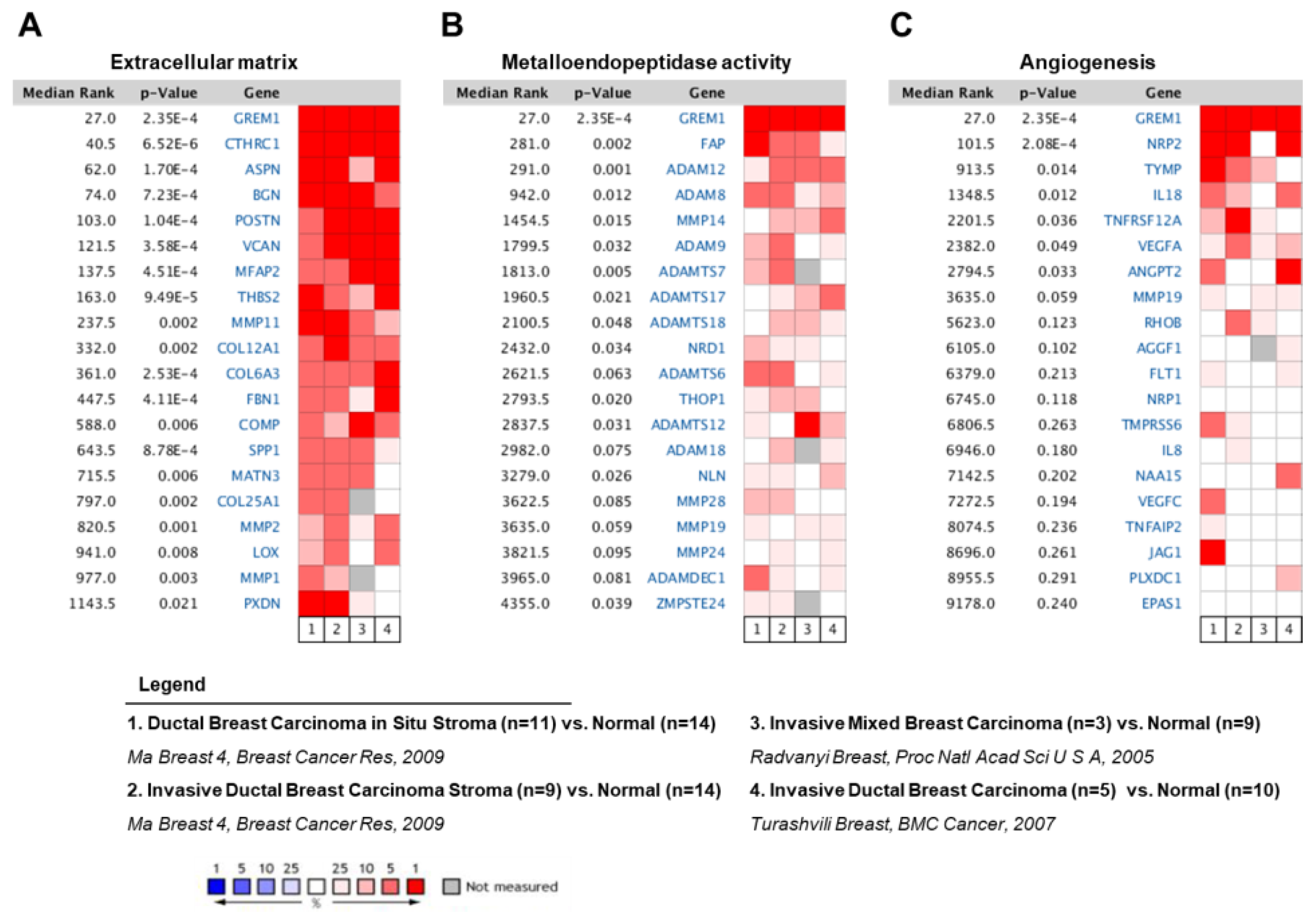 Ijms 21 09227 g001 Ijms 21 09227 g001