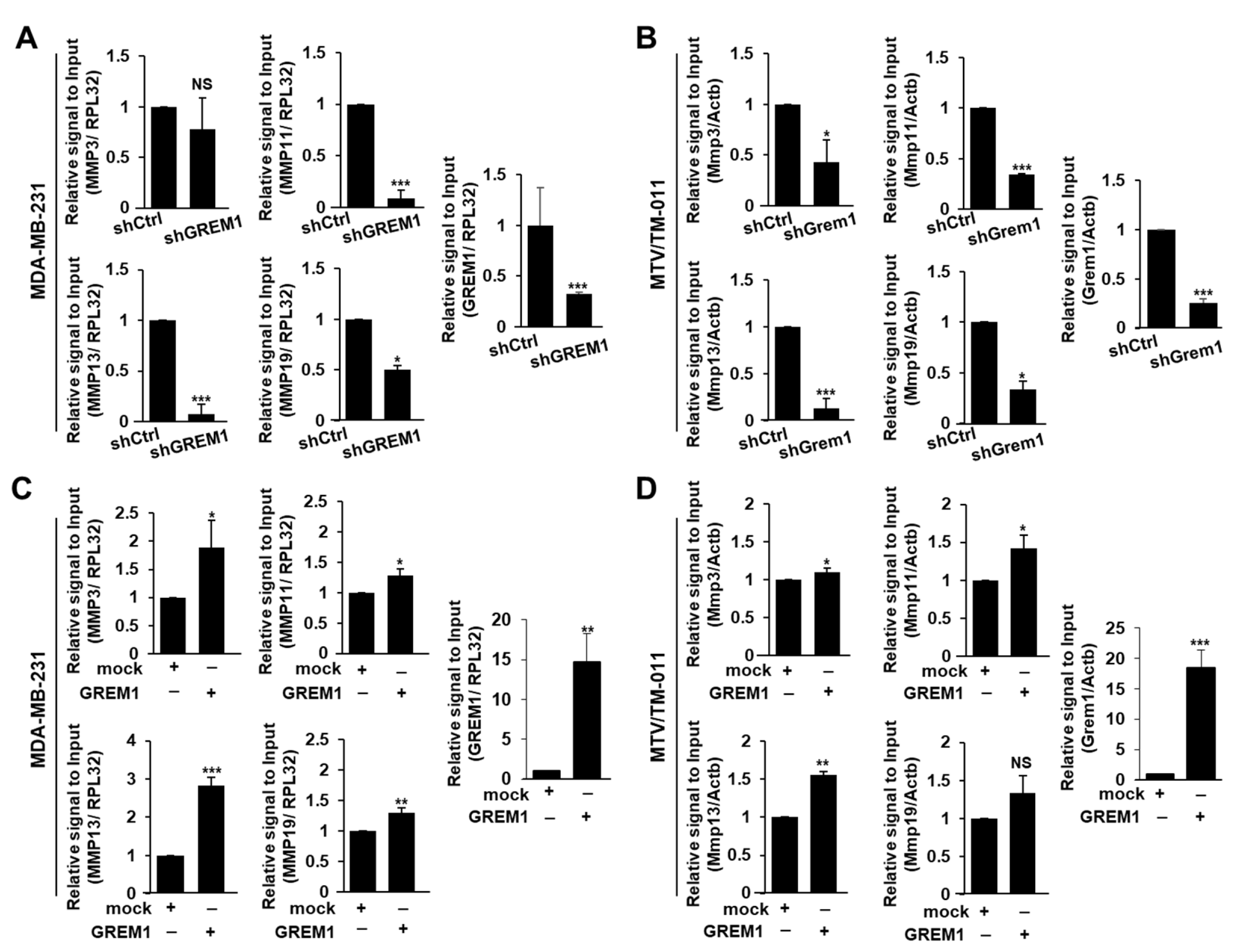 Ijms 21 09227 g005 Ijms 21 09227 g005