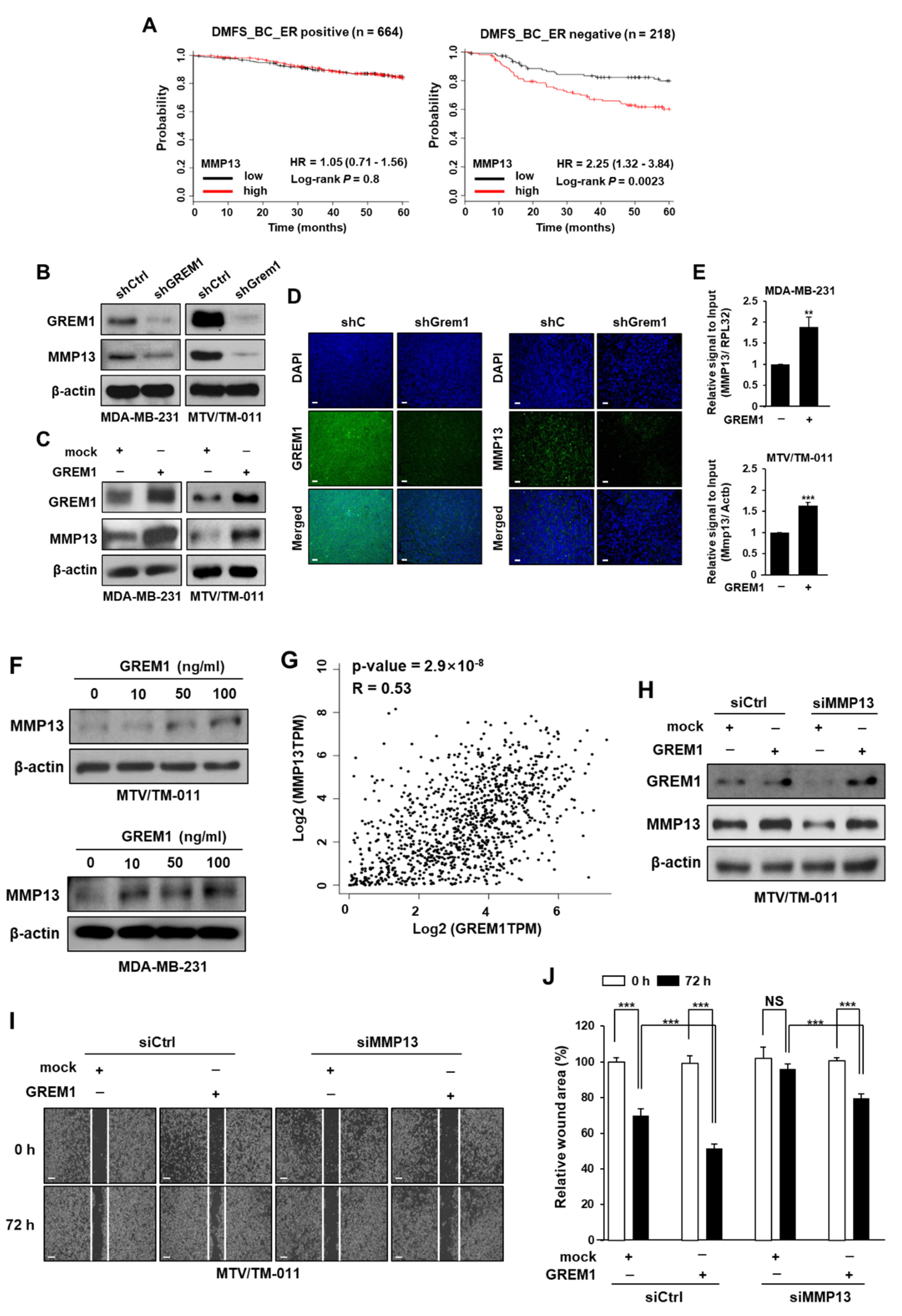 Ijms 21 09227 g006 Ijms 21 09227 g006
