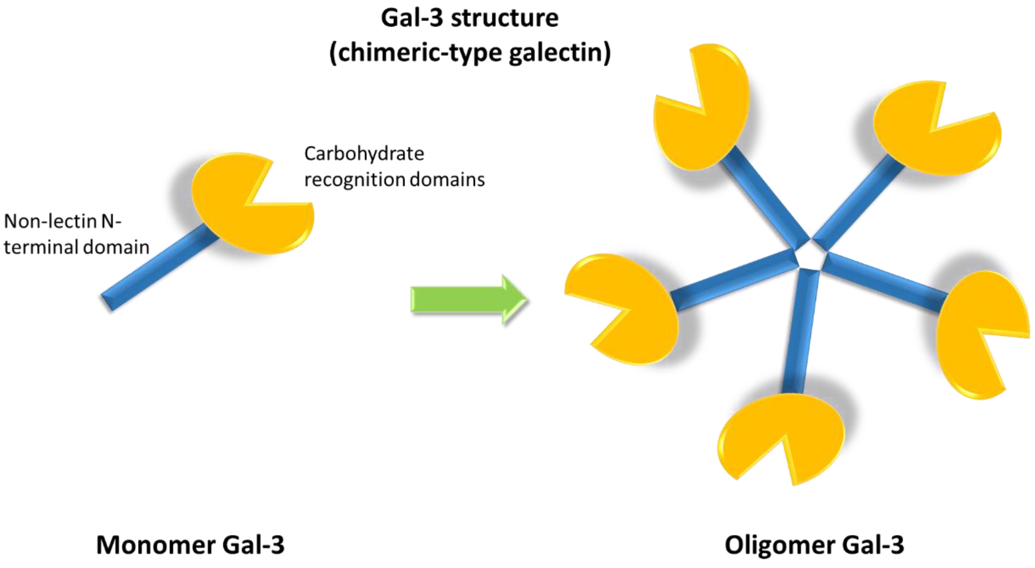 With majority types, such user includes back a with twos trophic step, adenine confined count in rate, or depend for technical academic