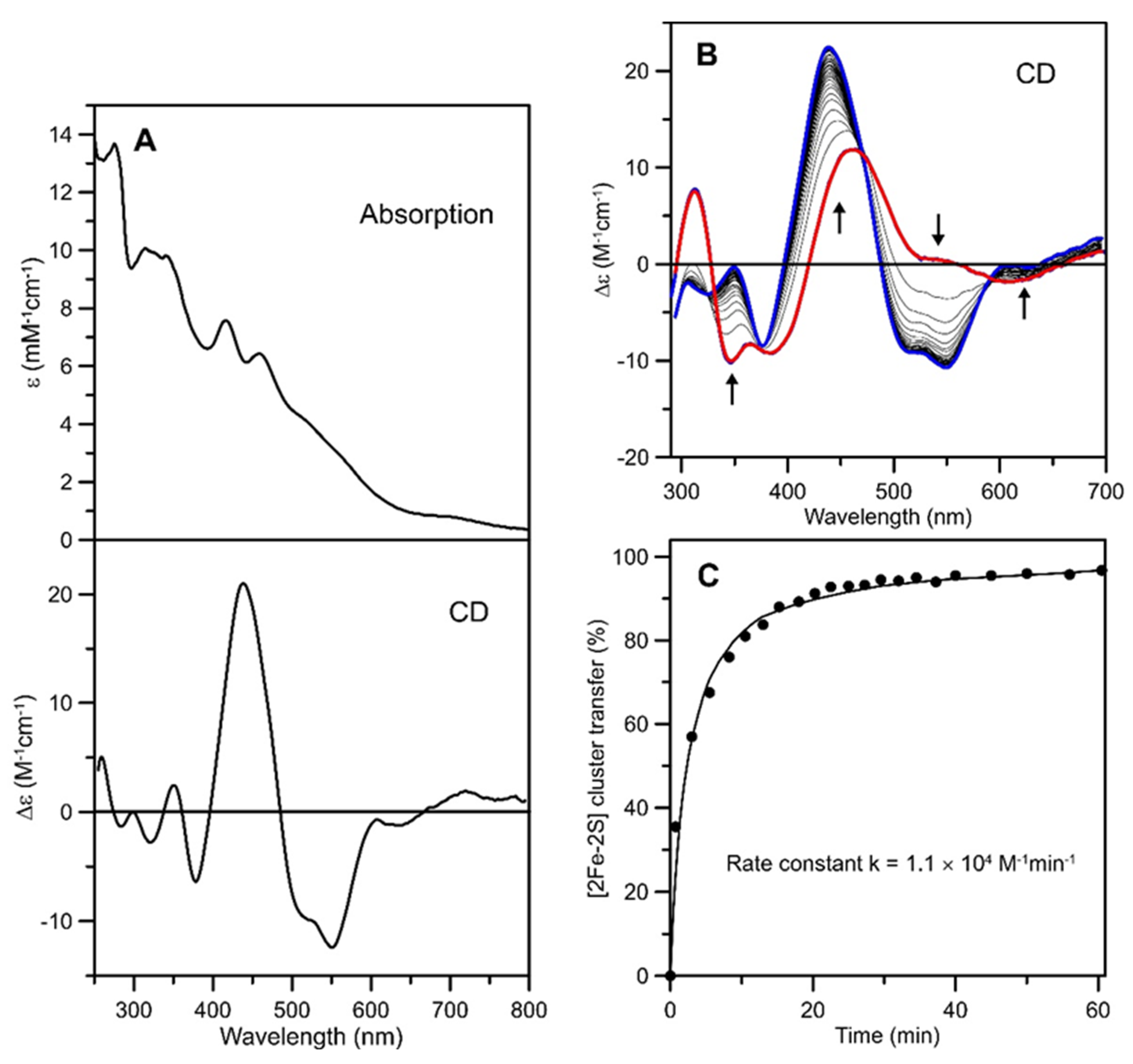 Ijms 21 09237 g004 Ijms 21 09237 g004