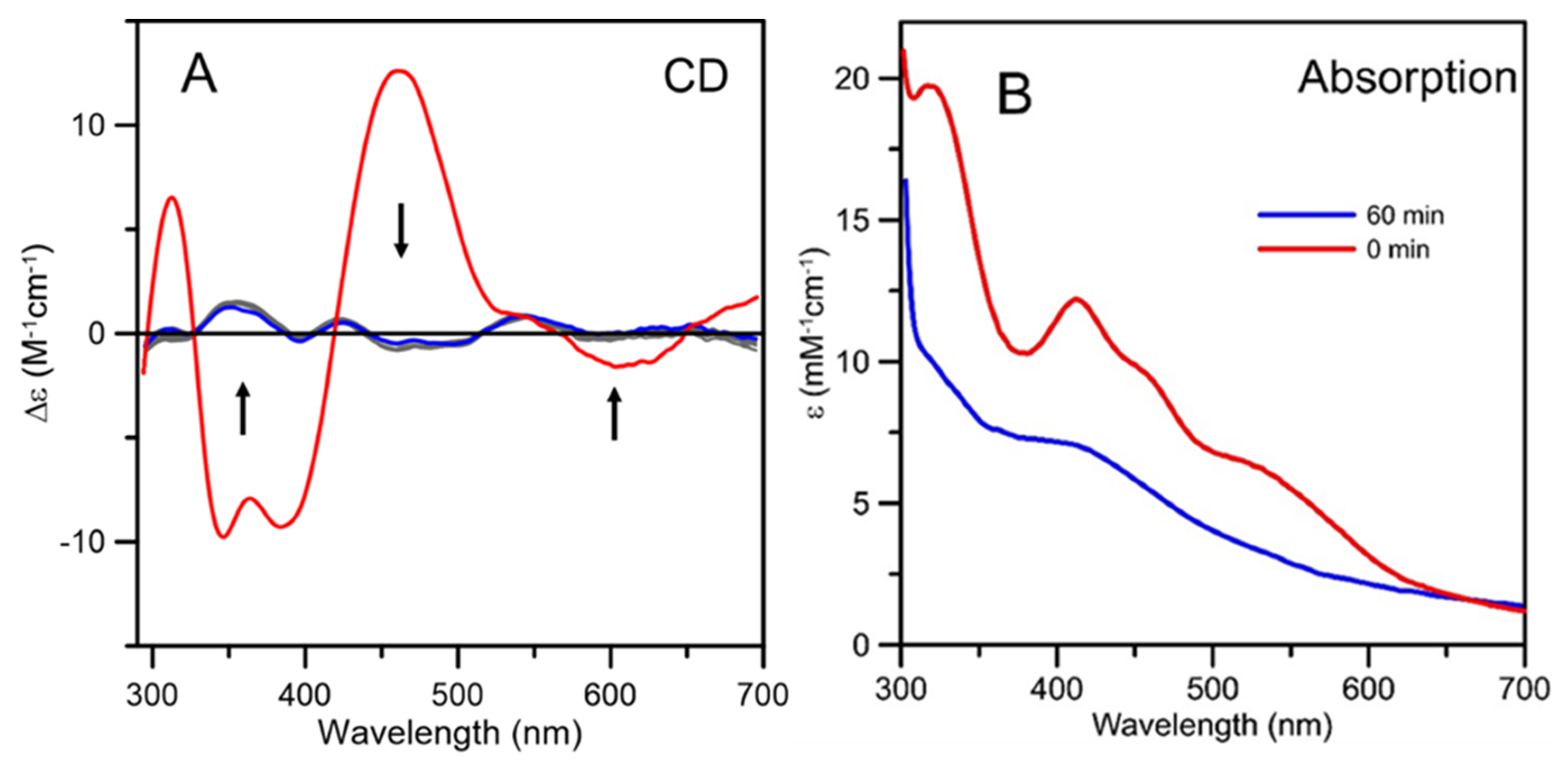 Ijms 21 09237 g009 Ijms 21 09237 g009