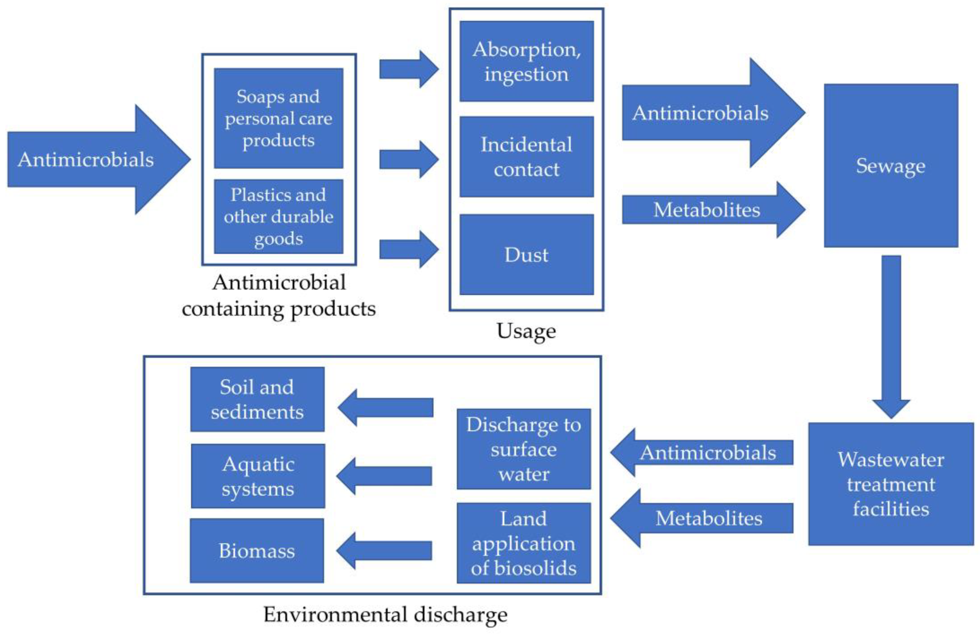 Ijms 21 09241 g002 Ijms 21 09241 g002